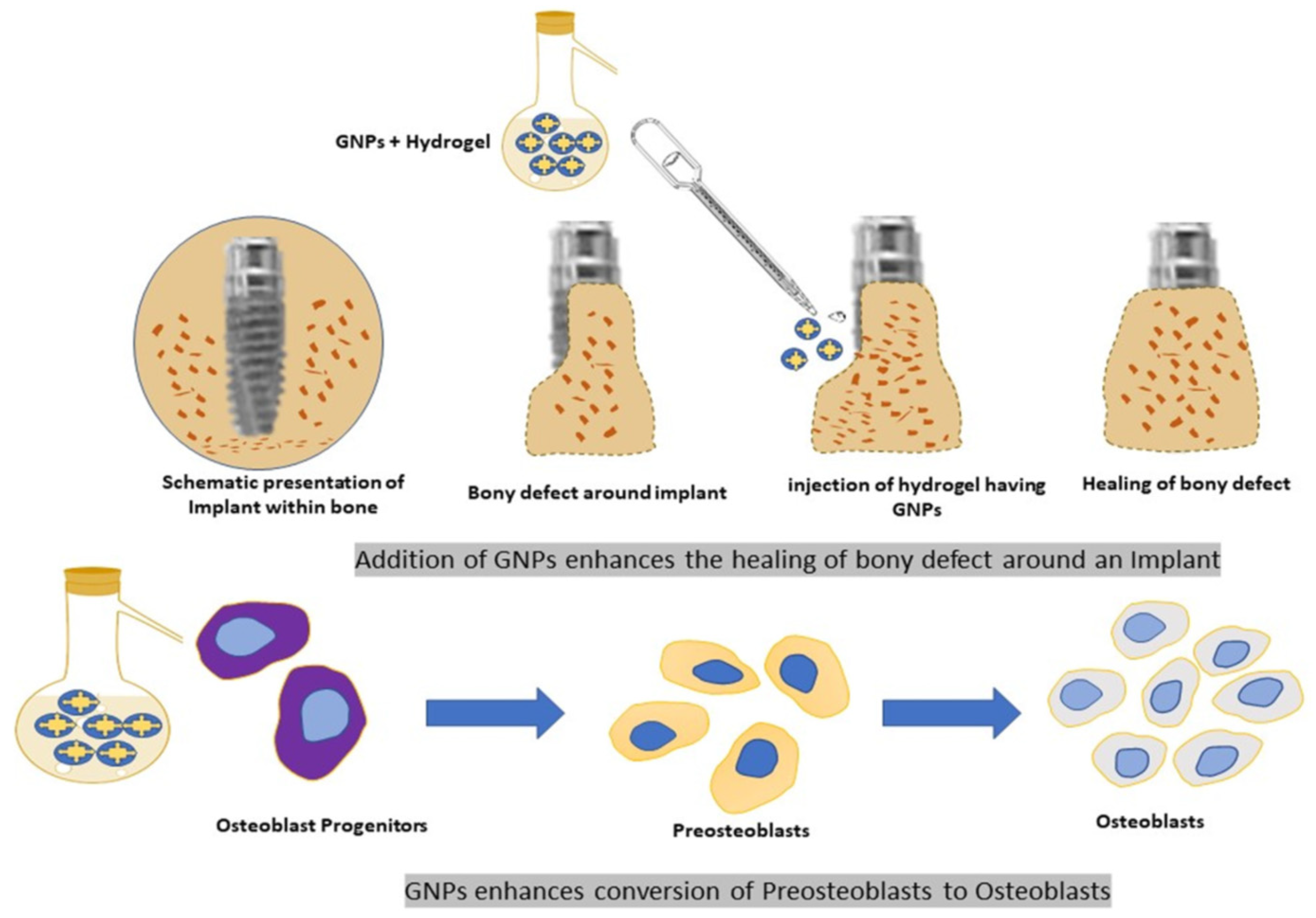 Polymers 17 00247 g006