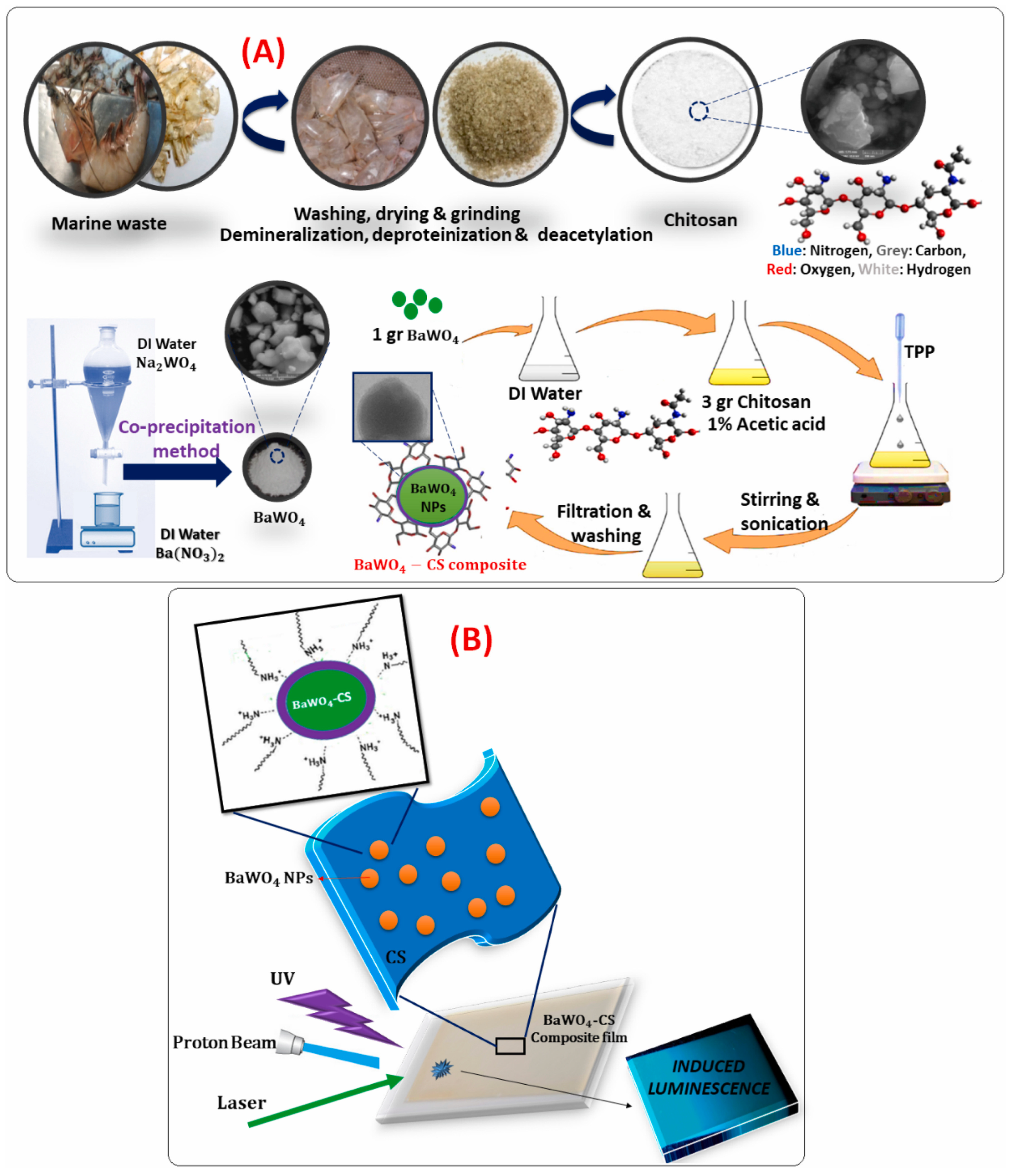 Polymers 17 00247 g007