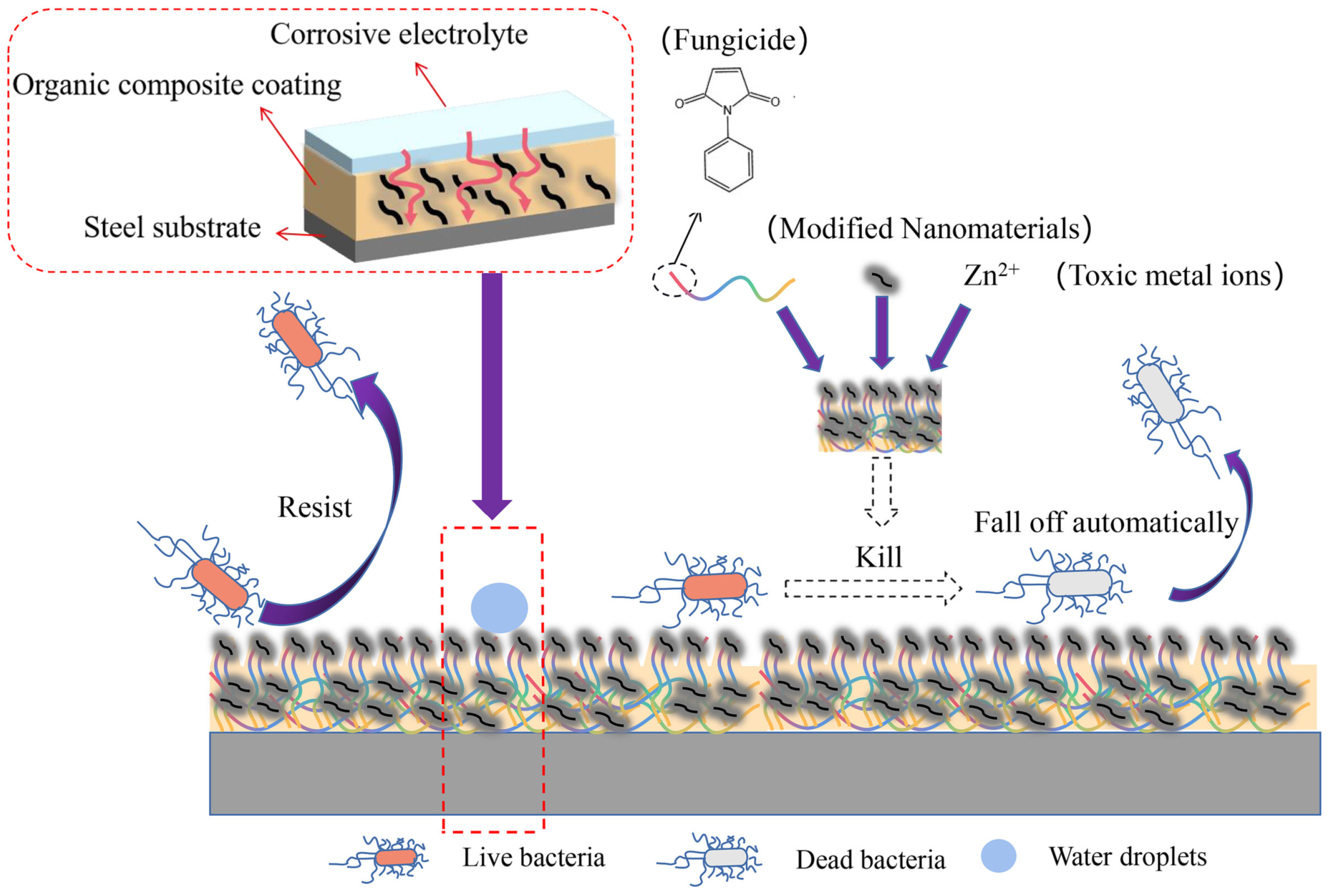 Polymers 17 00247 g008