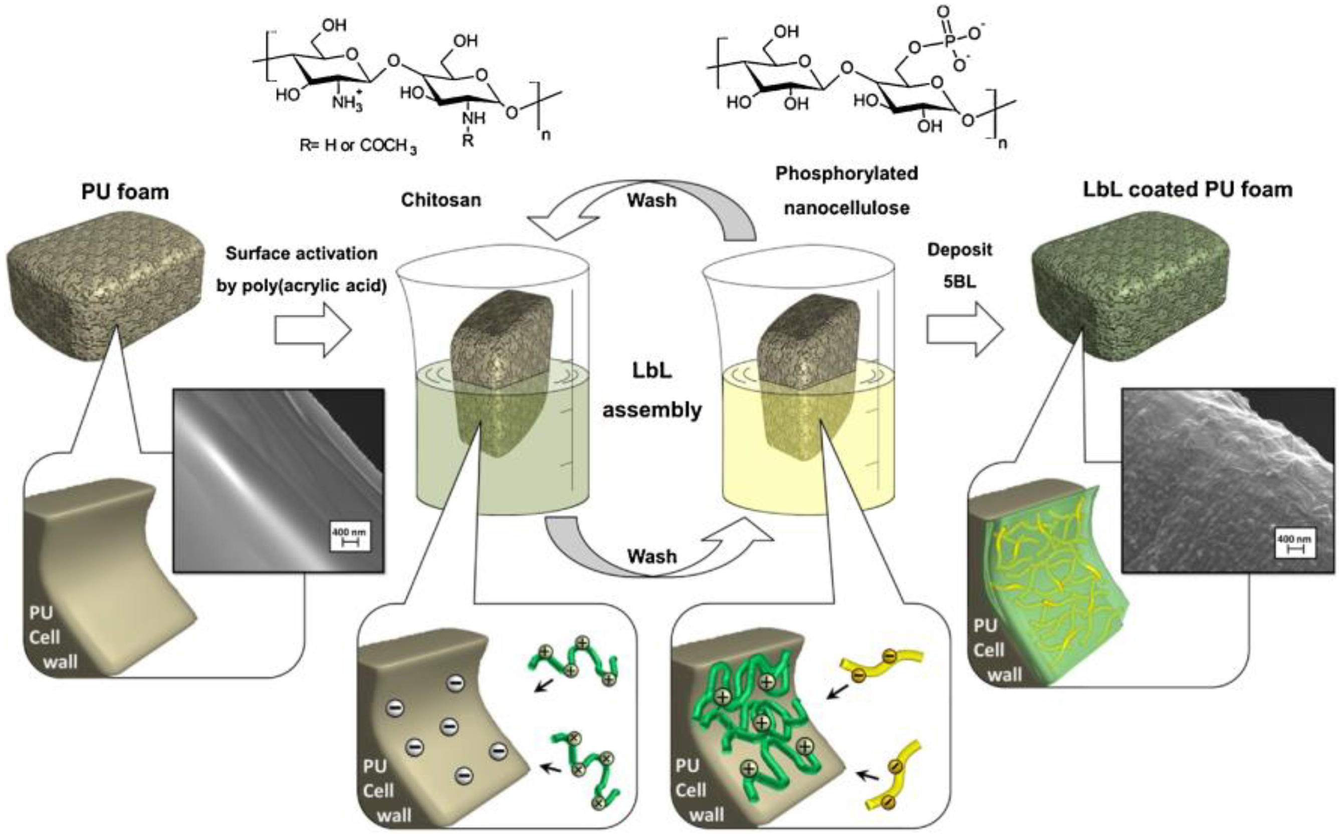 Polymers 17 00249 g003