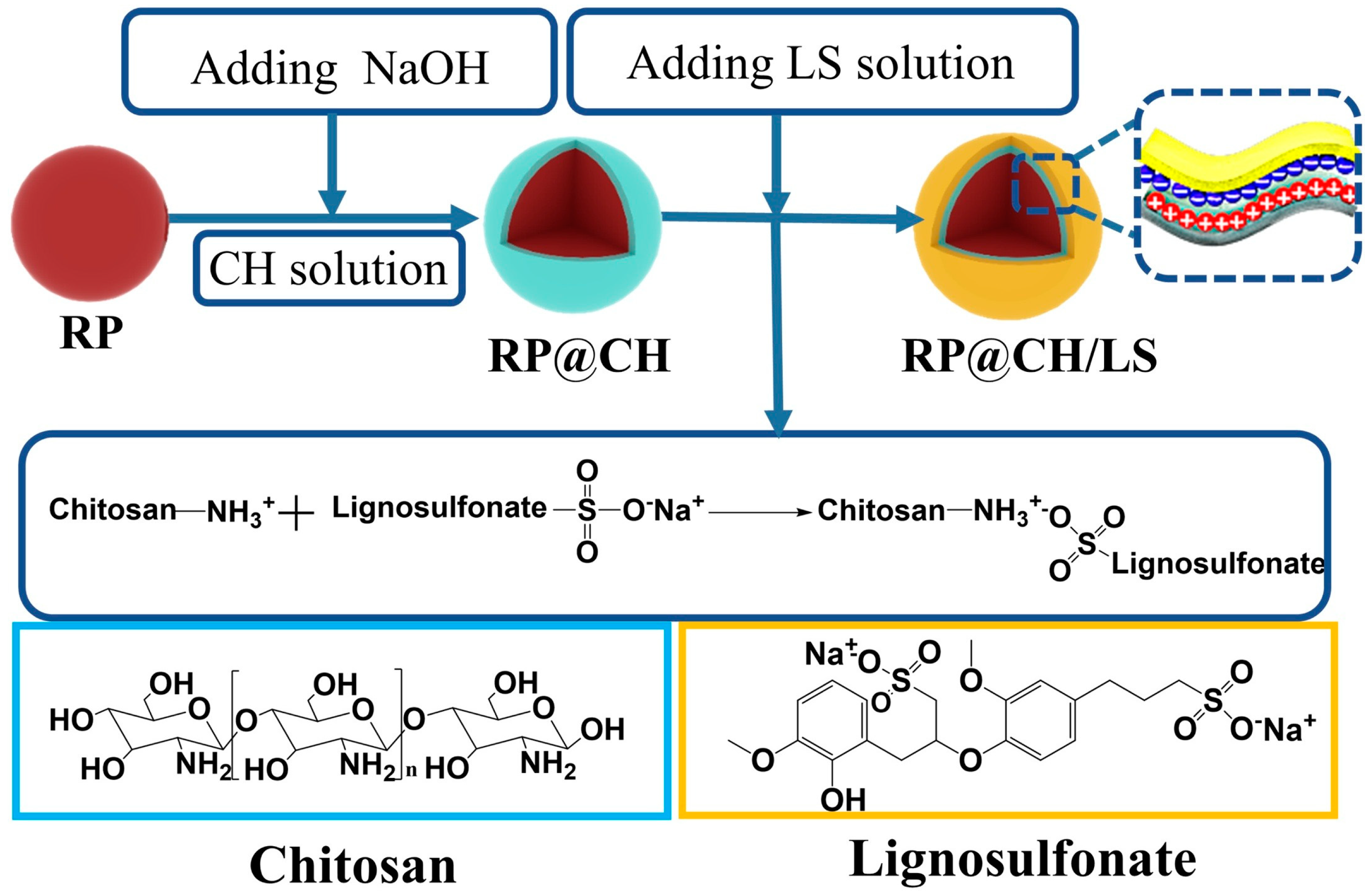 Polymers 17 00249 g006