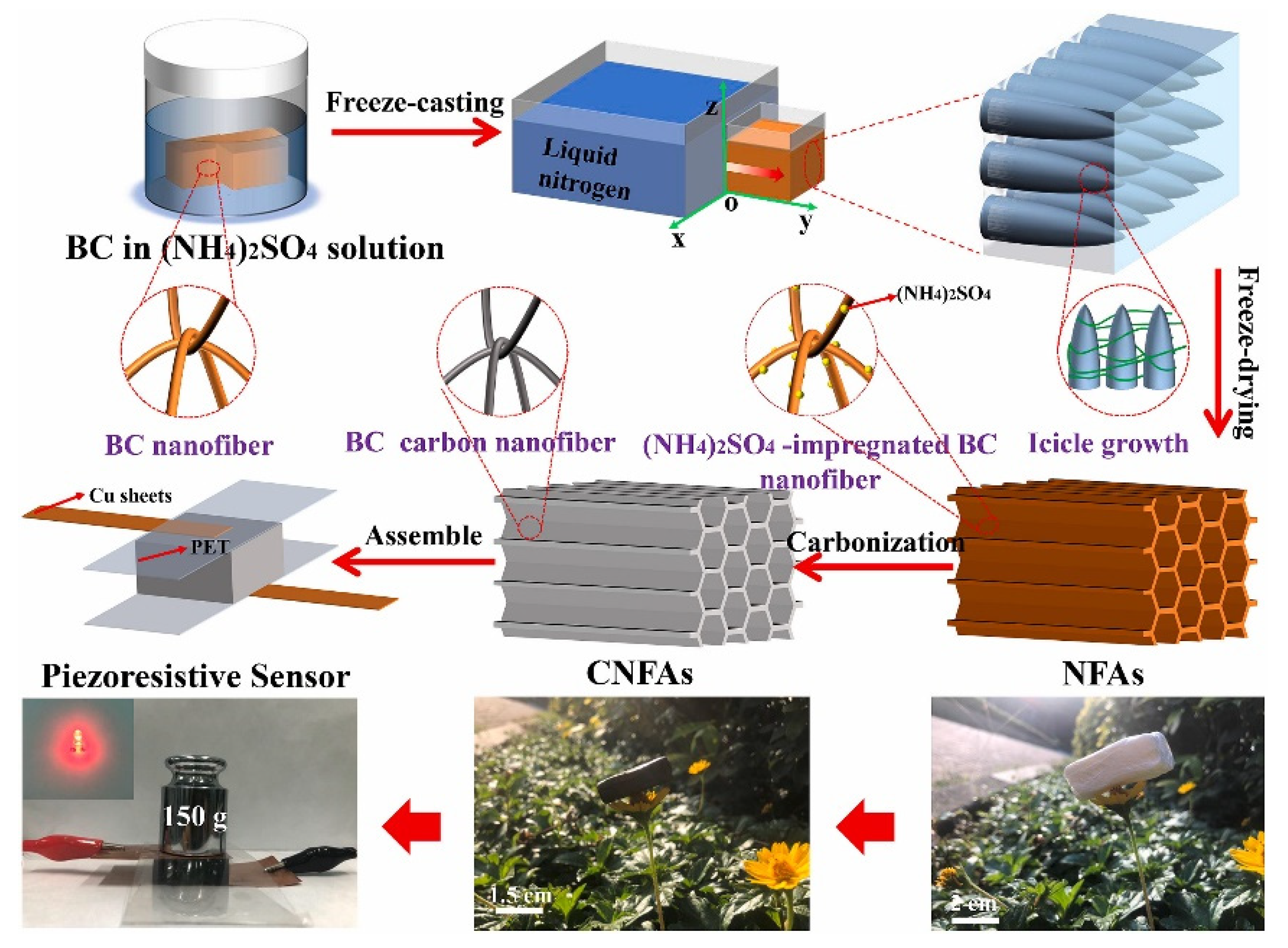 Polymers 17 00252 g011