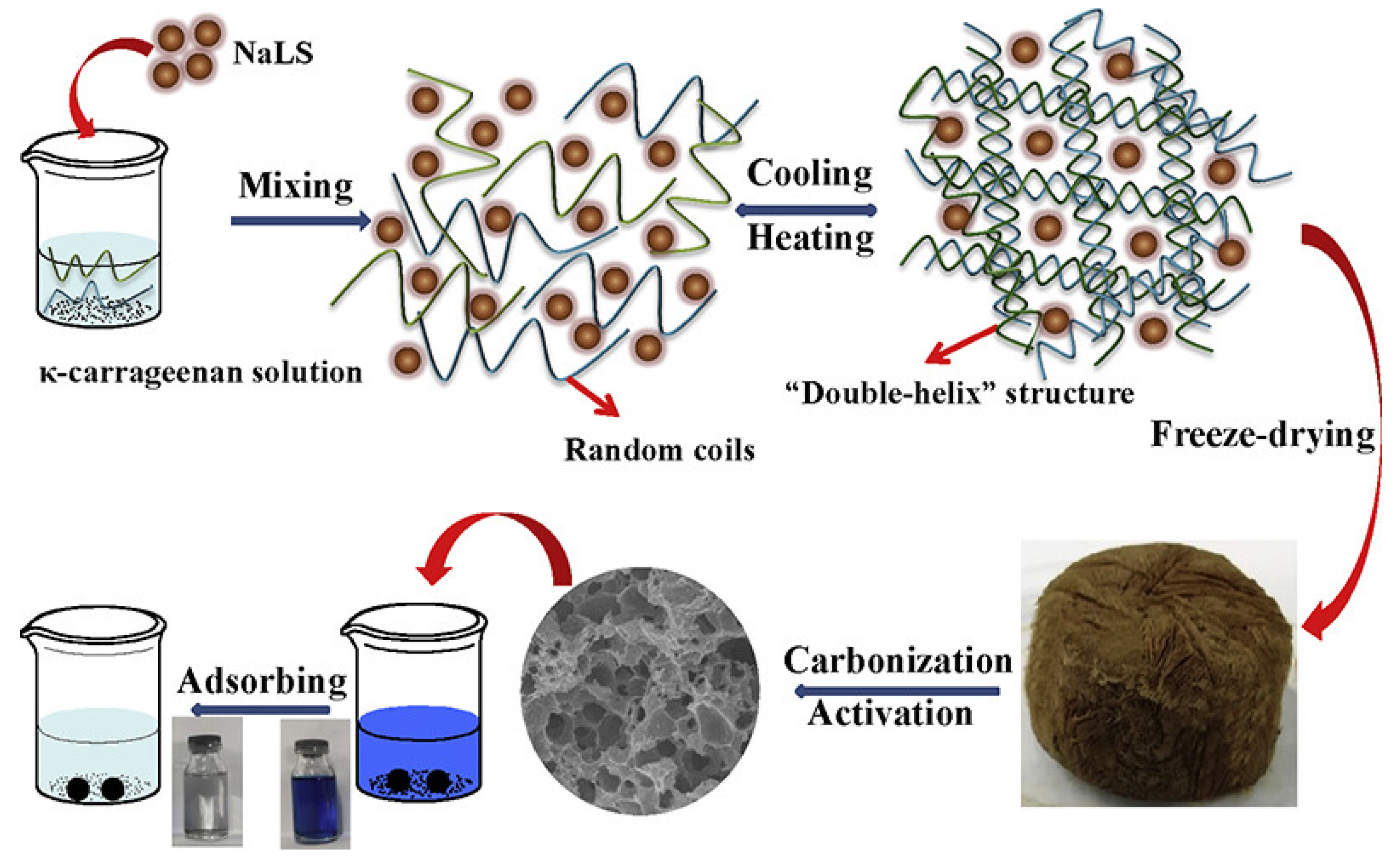 Polymers 17 00252 g013