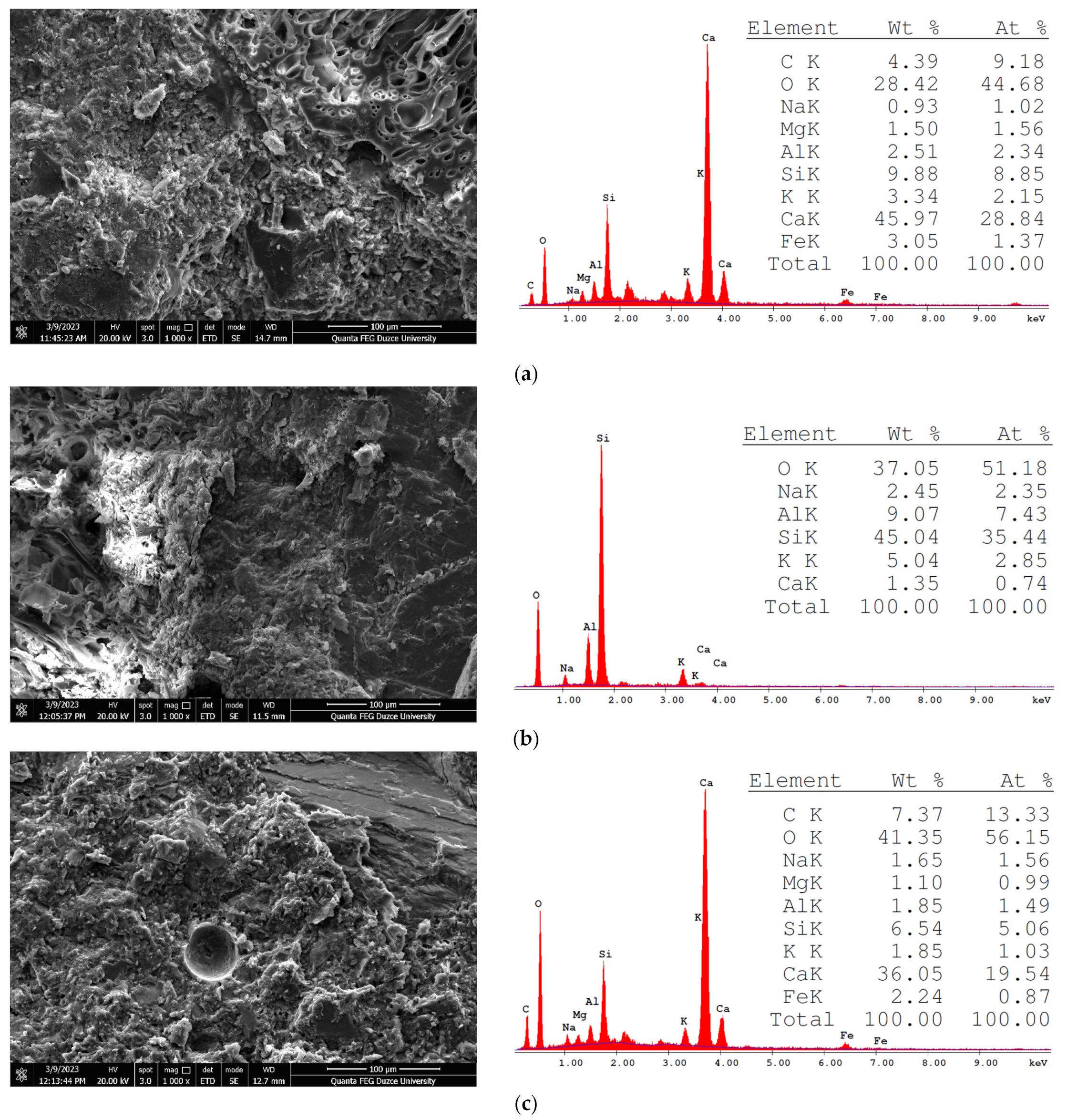 Polymers 17 00253 g011