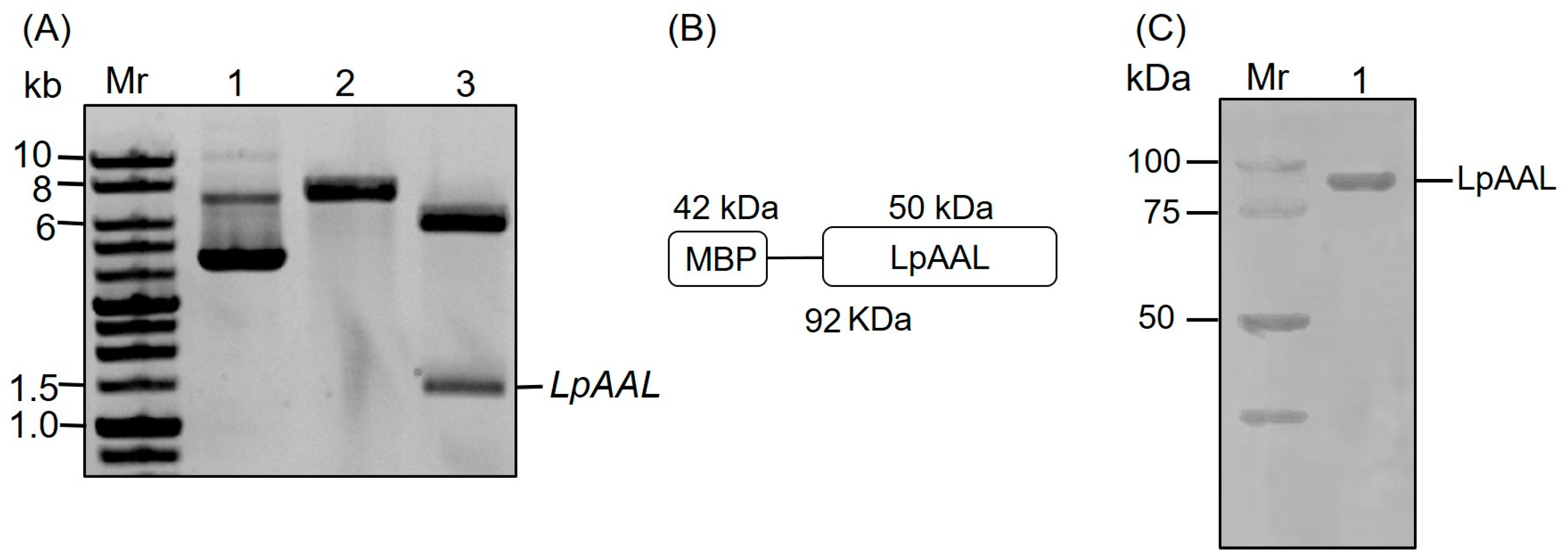 Polymers 17 00270 g002