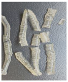 Polymers 17 00278 i008