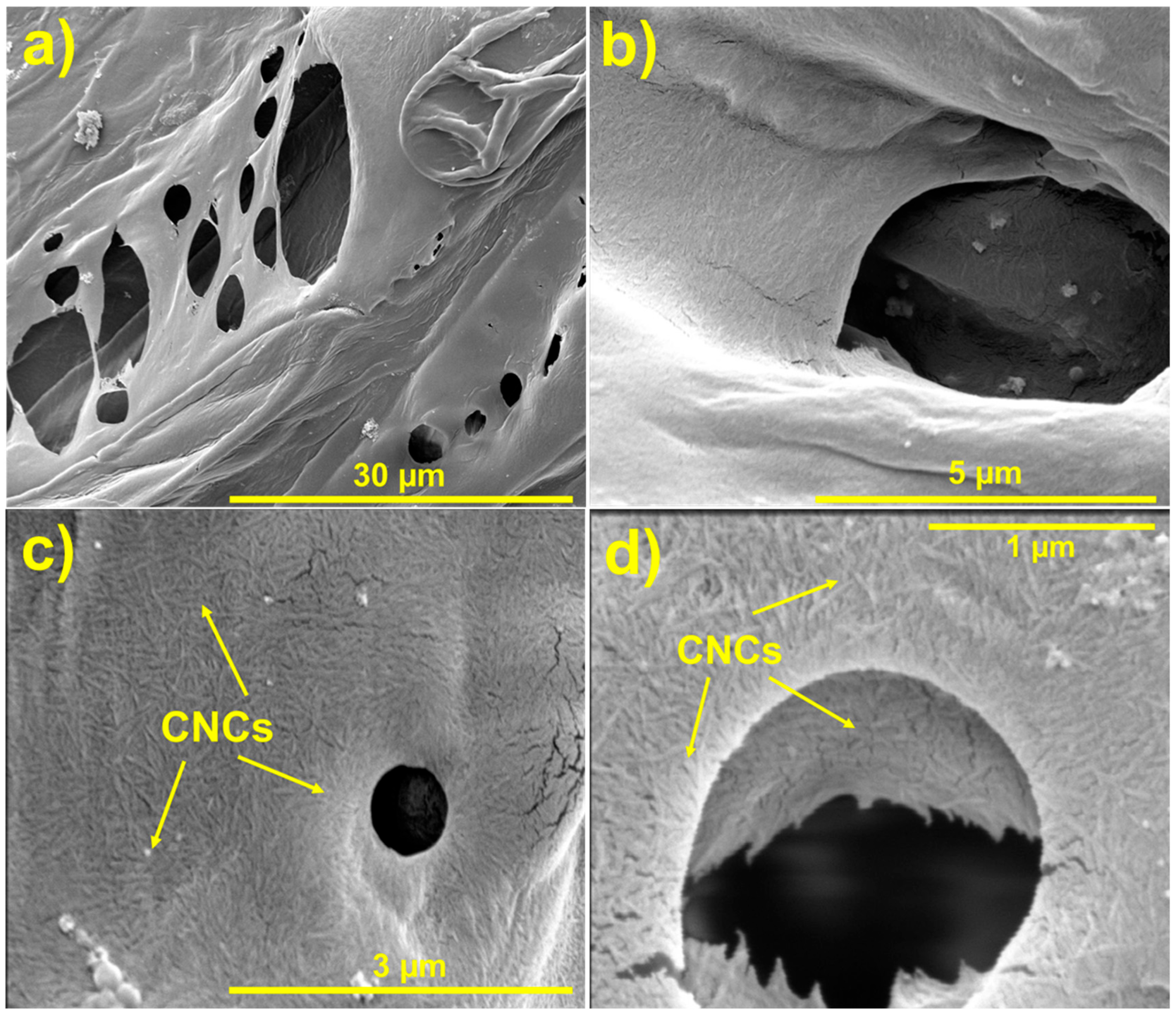 Polymers 17 00281 g002