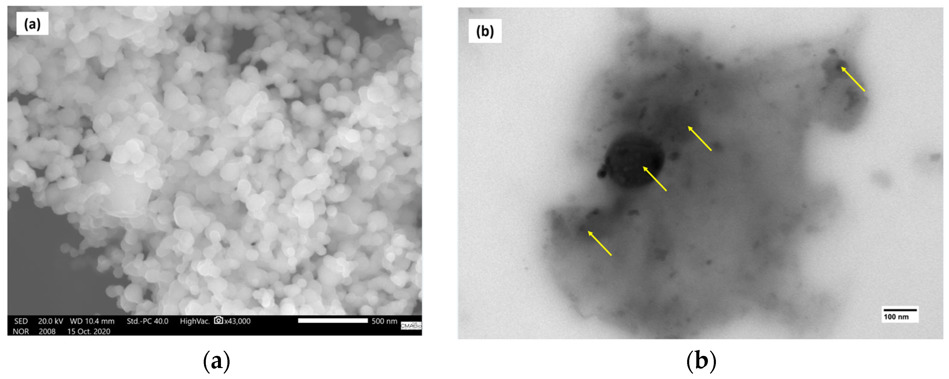 Polymers 17 00283 g012 Polymers 17 00283 g012