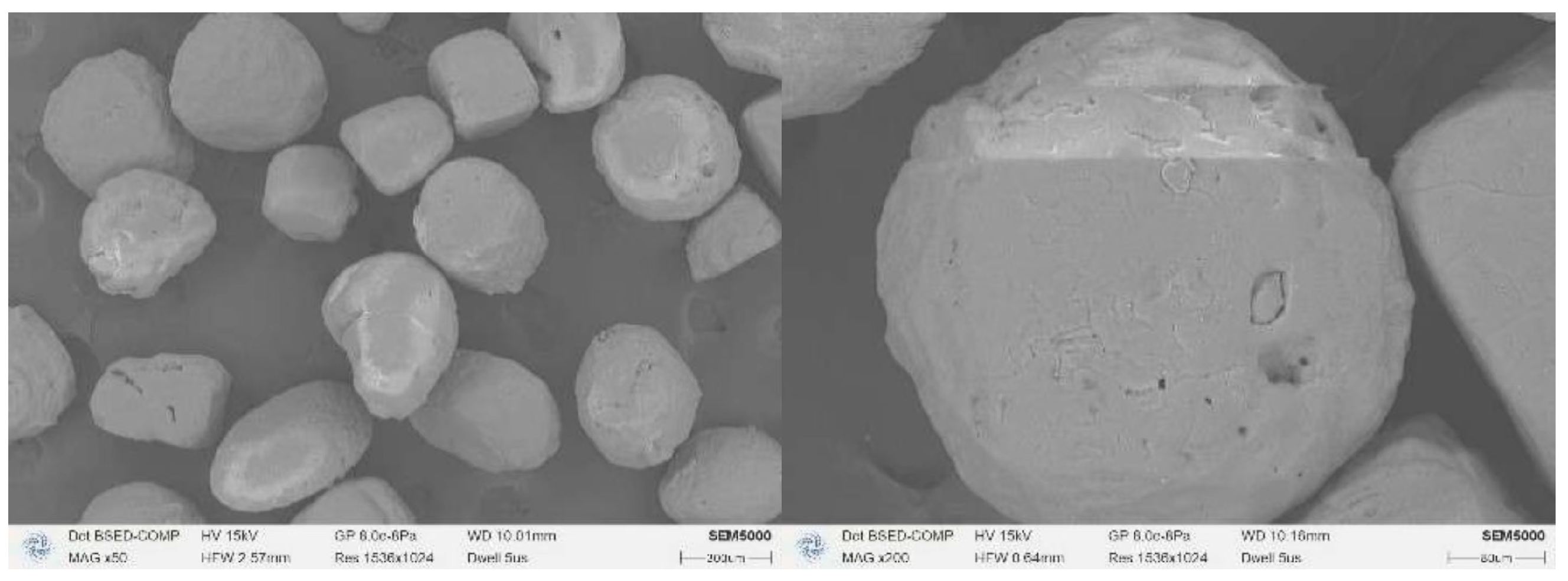 Polymers 17 00286 g005