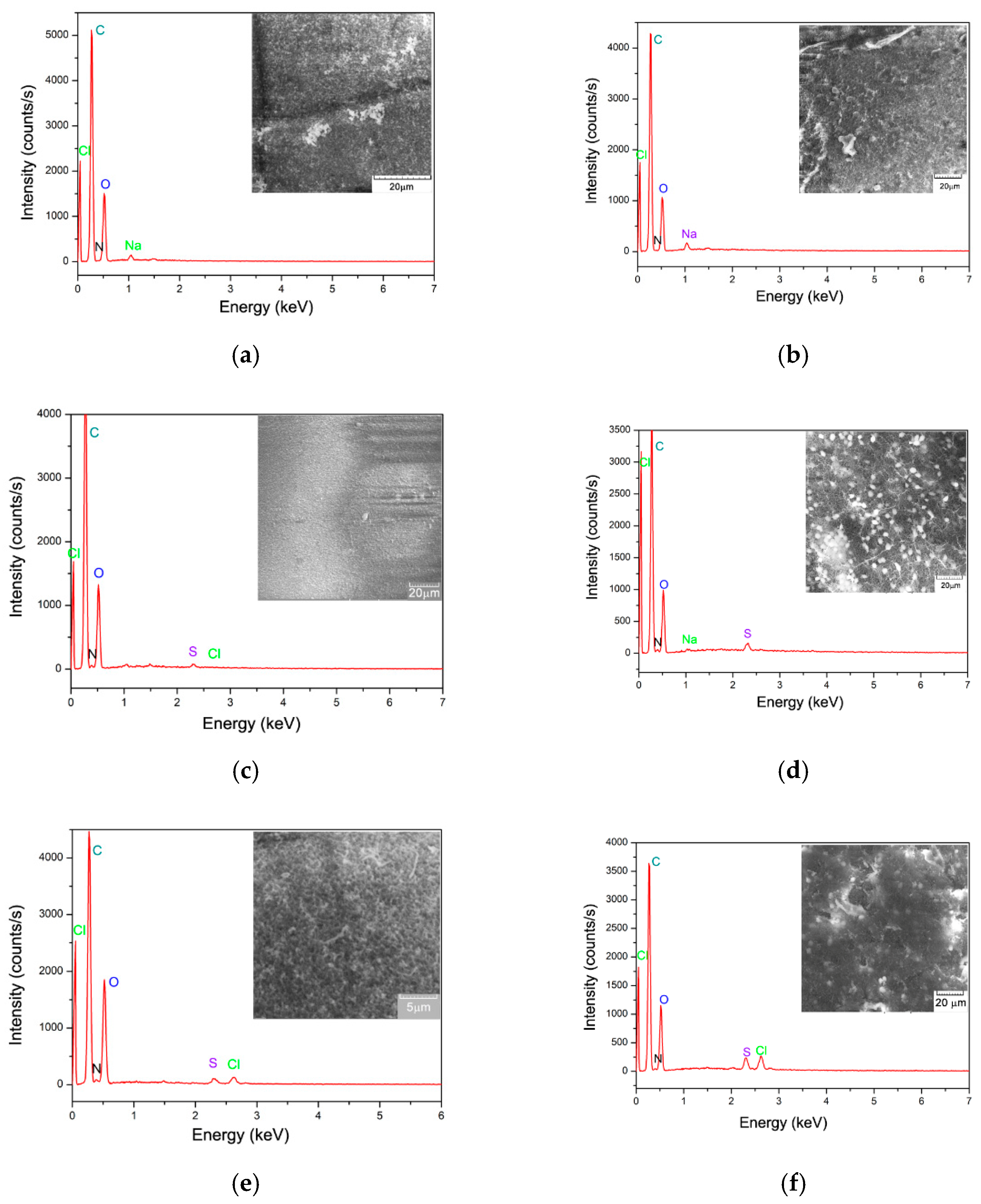 Polymers 17 00291 g004