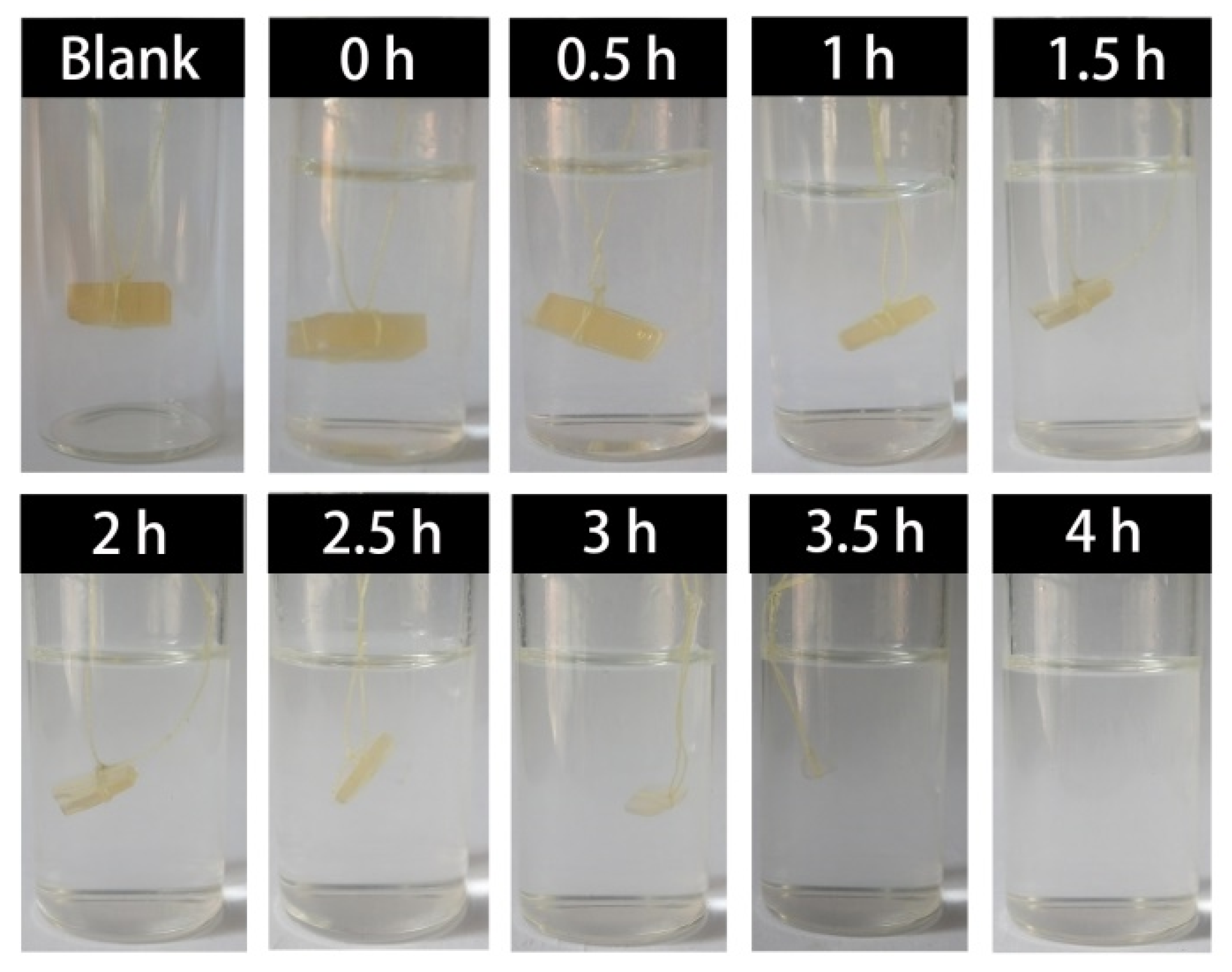 Polymers 17 00293 g005