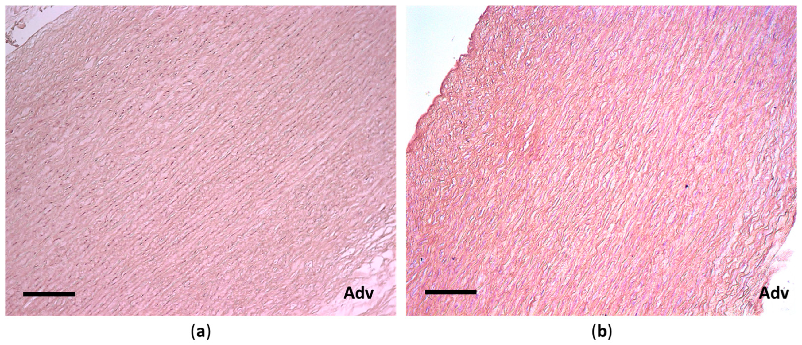 Polymers 17 00305 g006