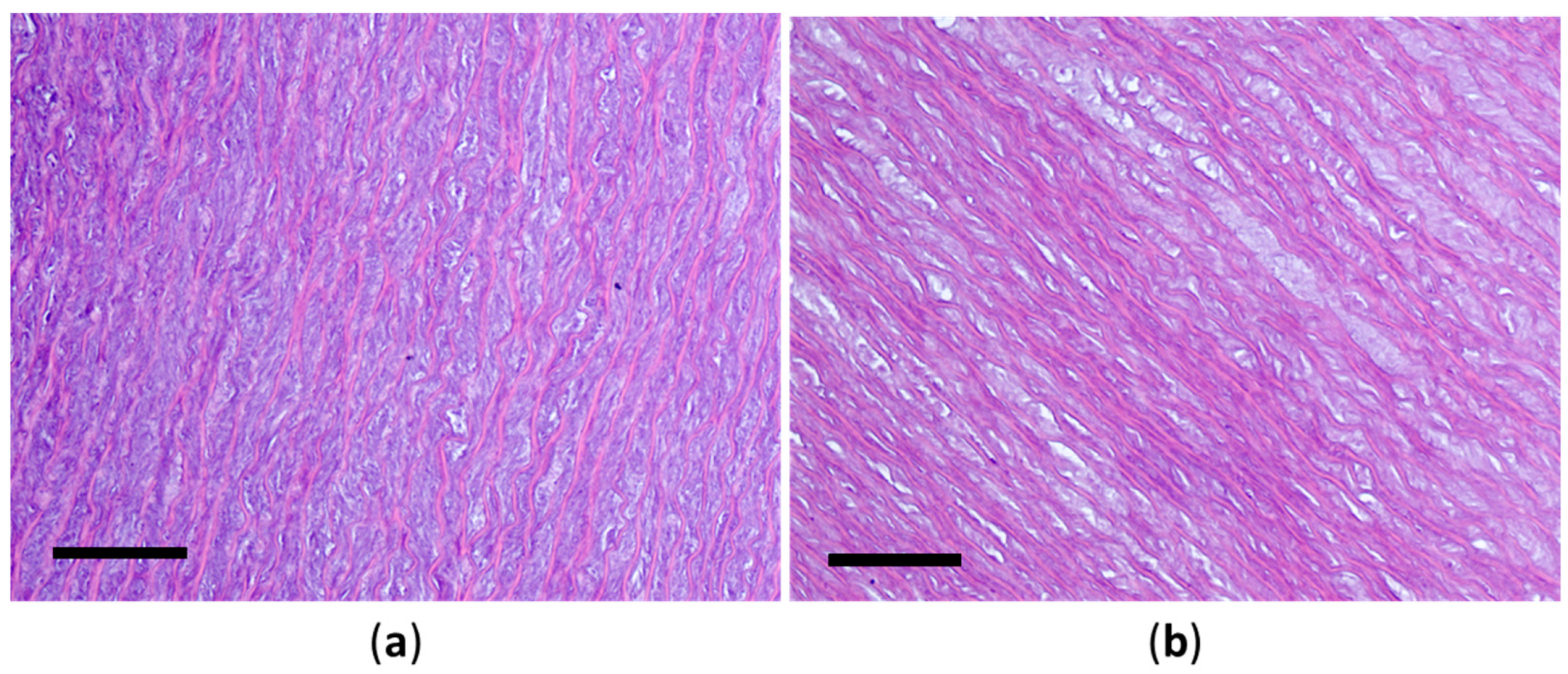 Polymers 17 00305 g007