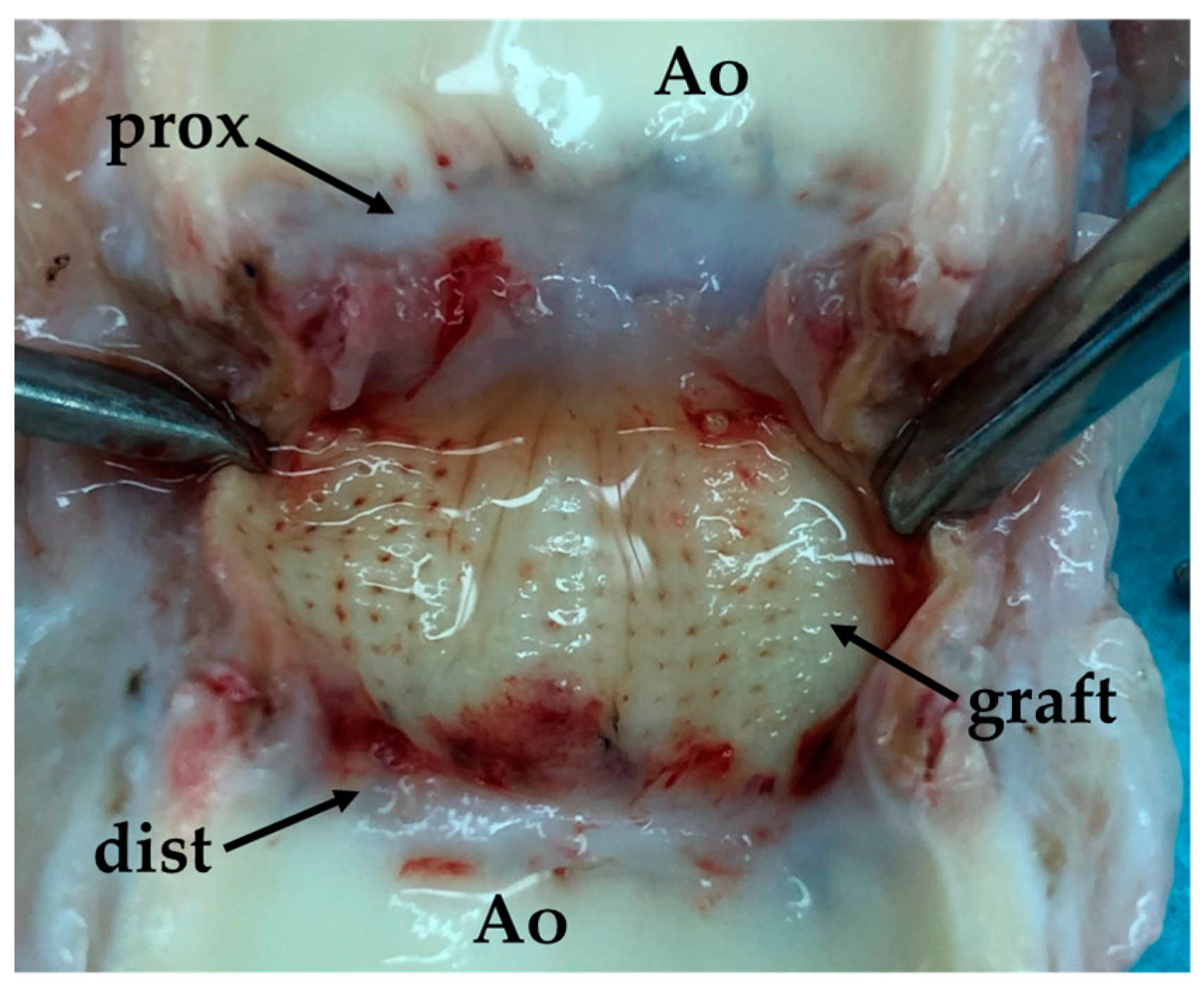 Polymers 17 00305 g011