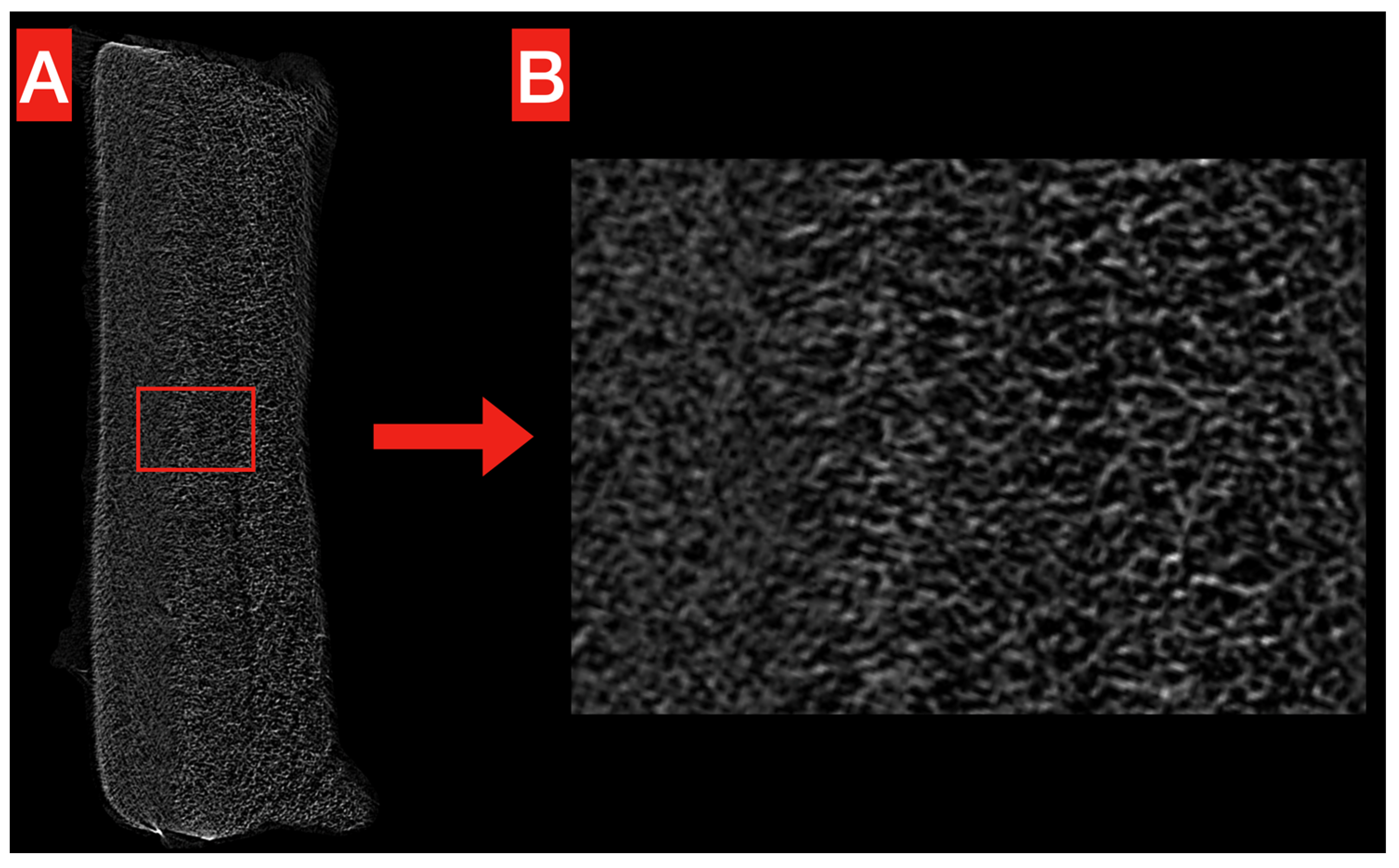 Polymers 17 00313 g002