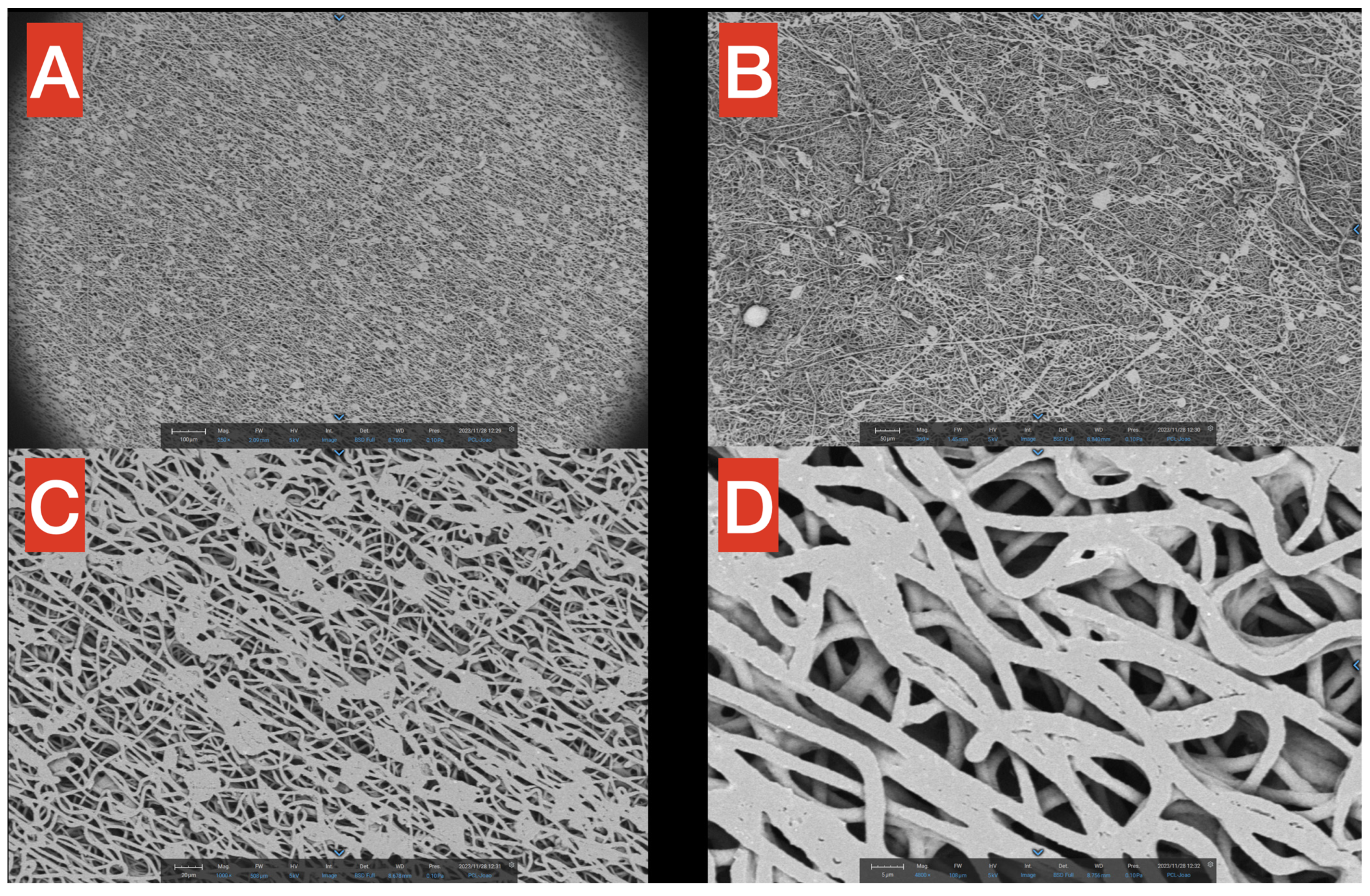 Polymers 17 00313 g003