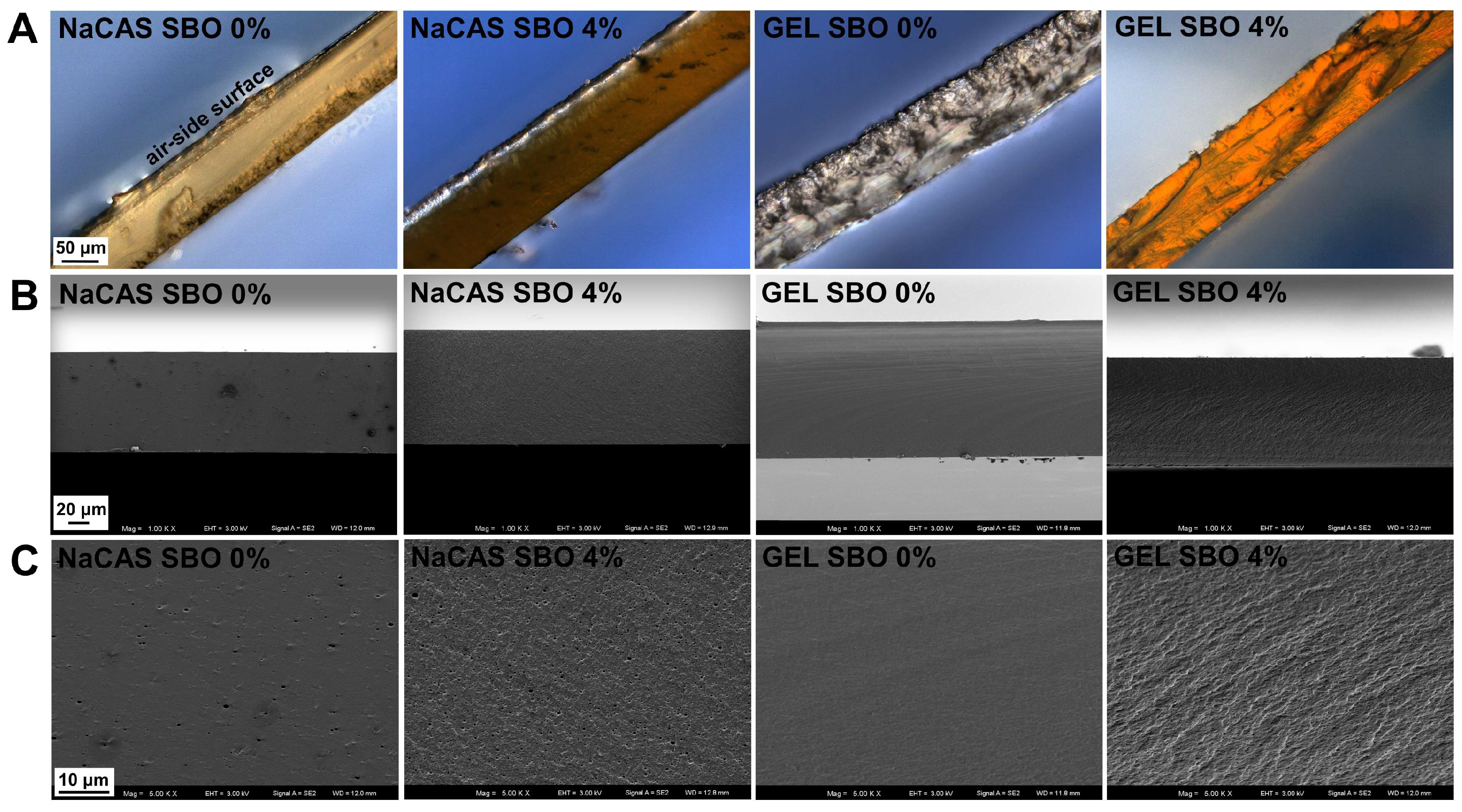 Polymers 17 00320 g003