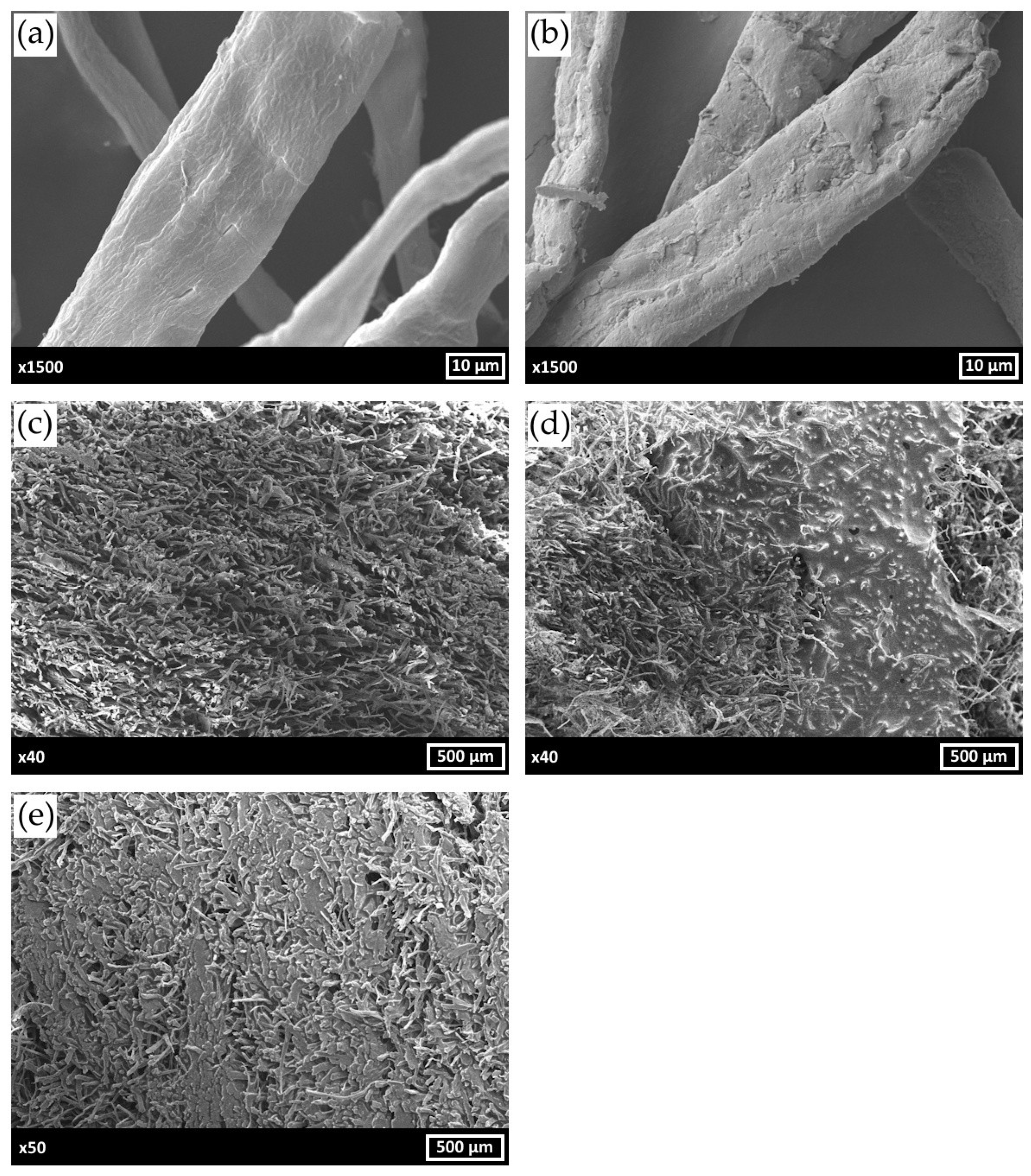 Polymers 17 00328 g003