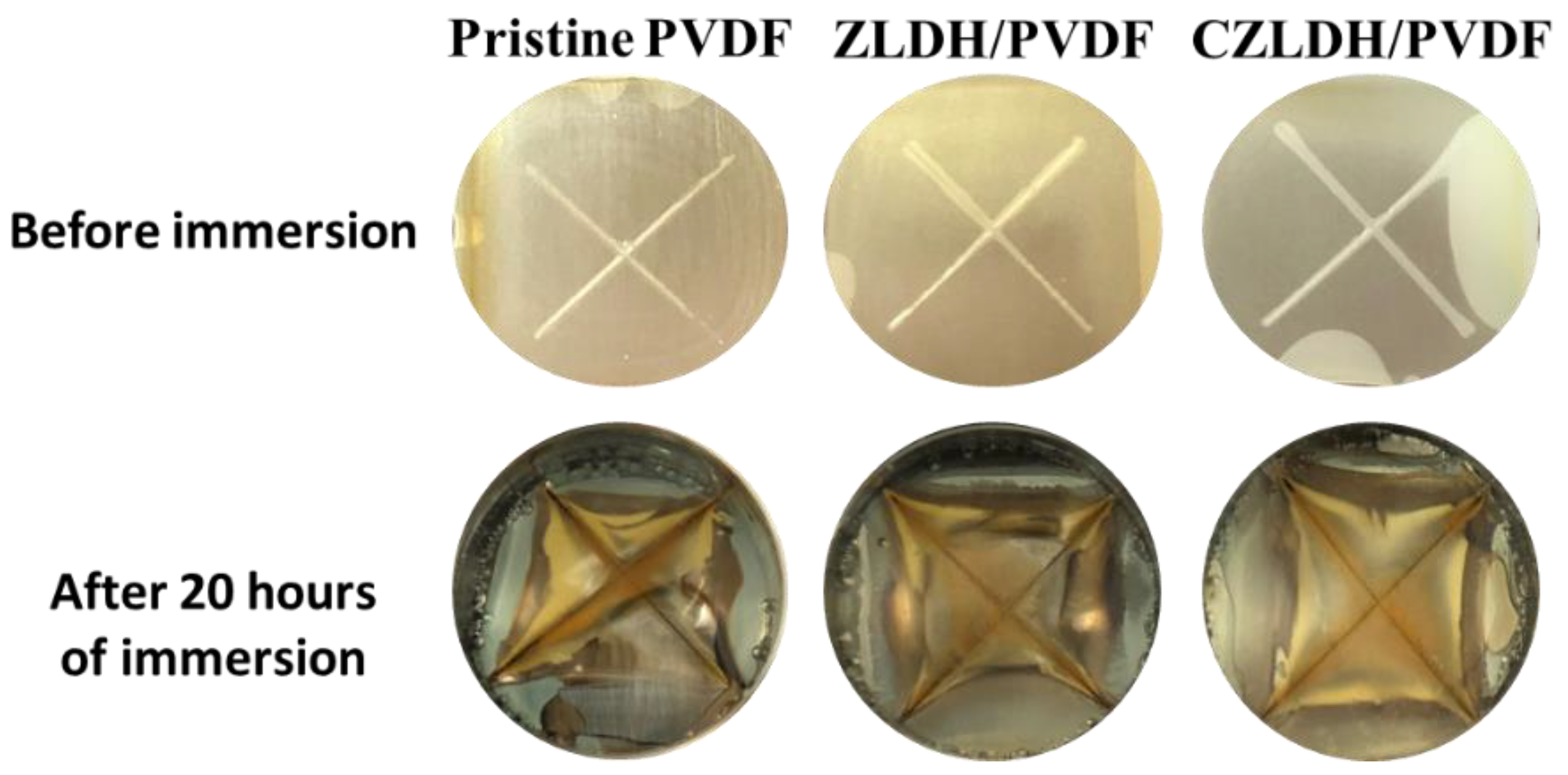 Polymers 17 00331 g011