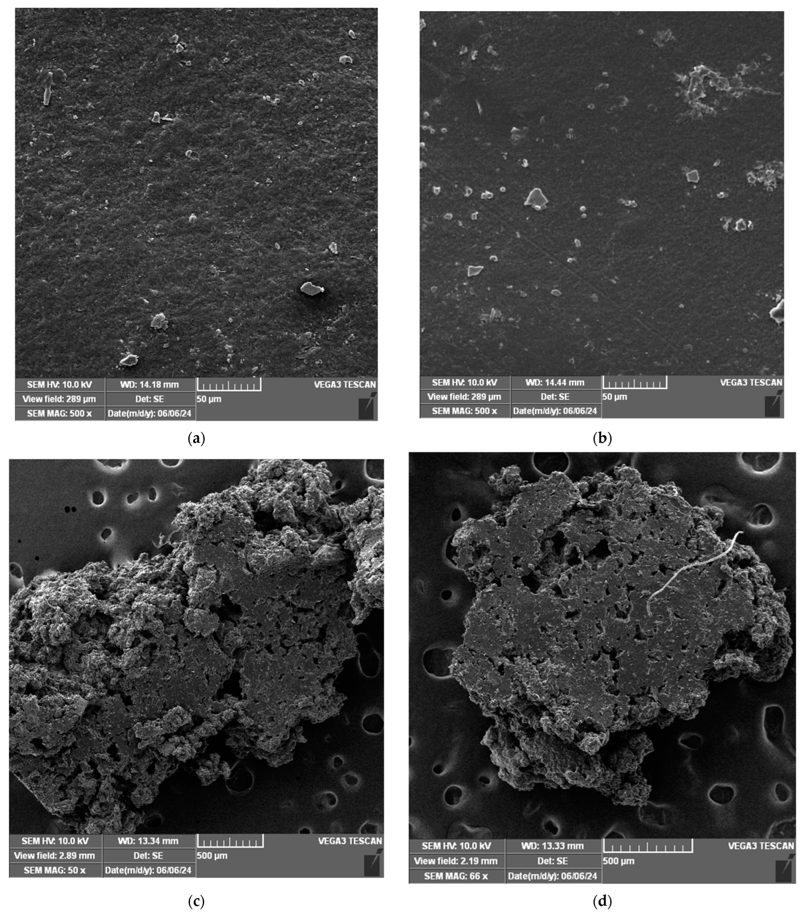Polymers 17 00356 g007 Polymers 17 00356 g007