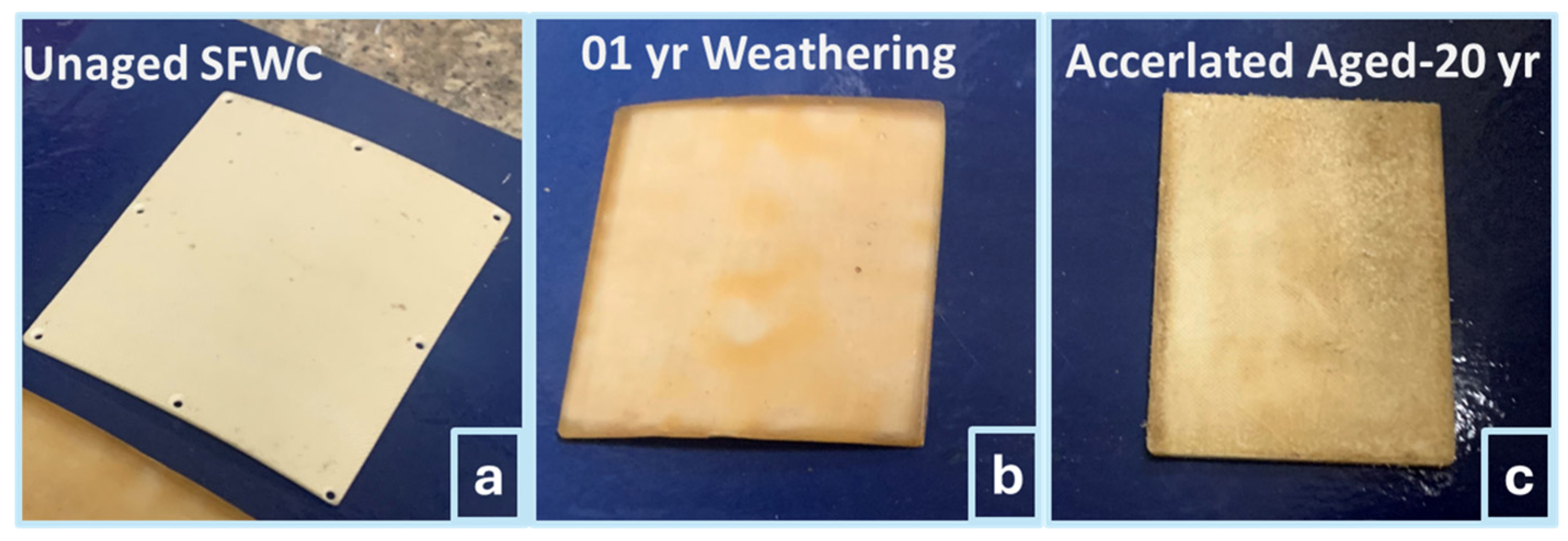 Polymers 17 00357 g007