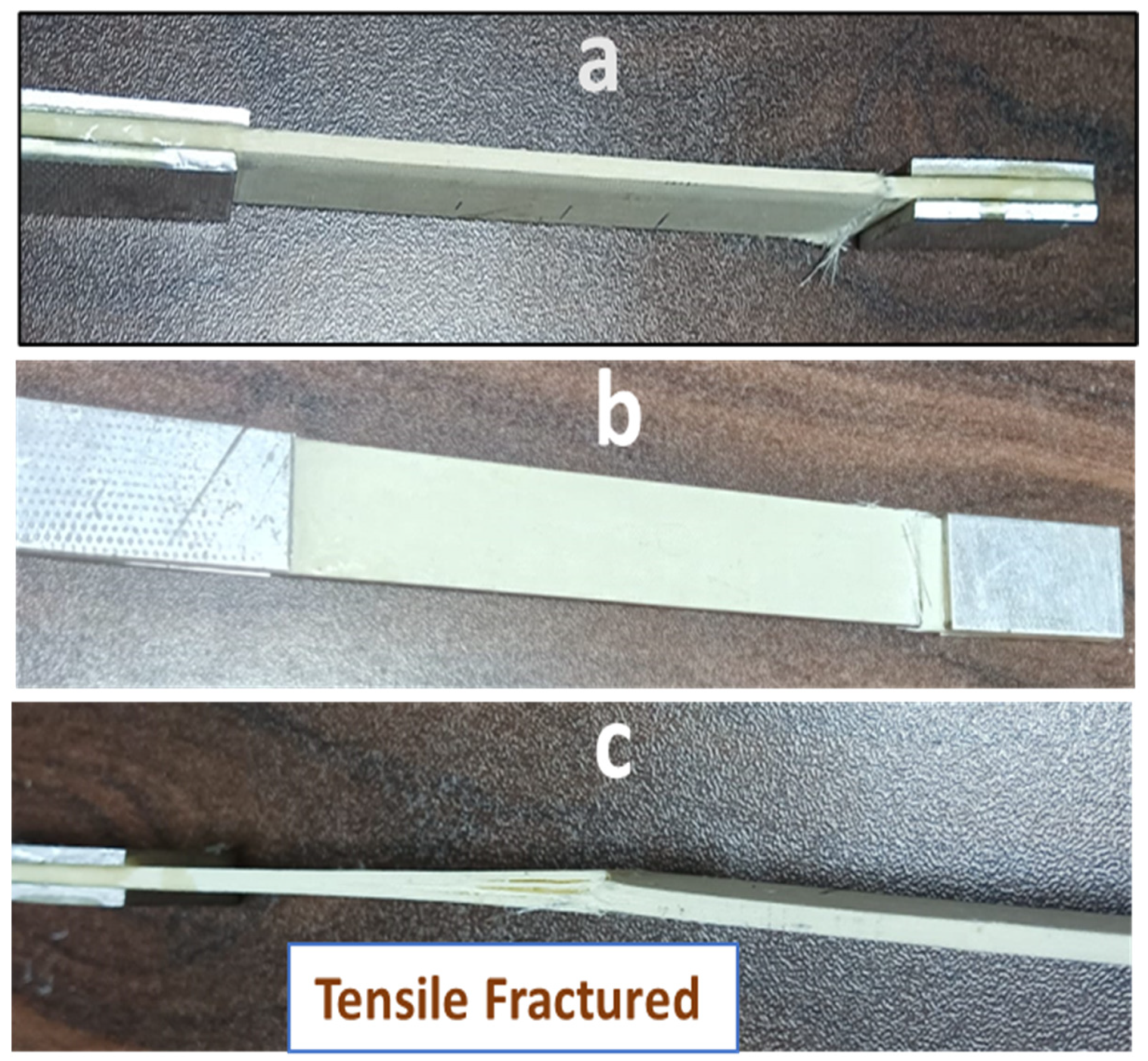 Polymers 17 00357 g014