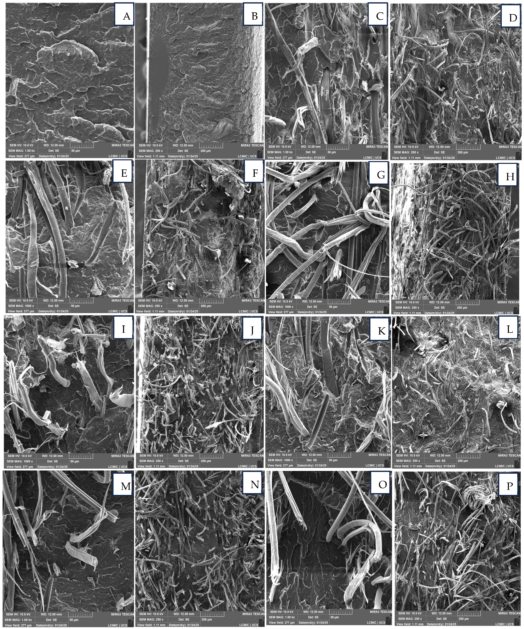 Polymers 17 00374 g006a
