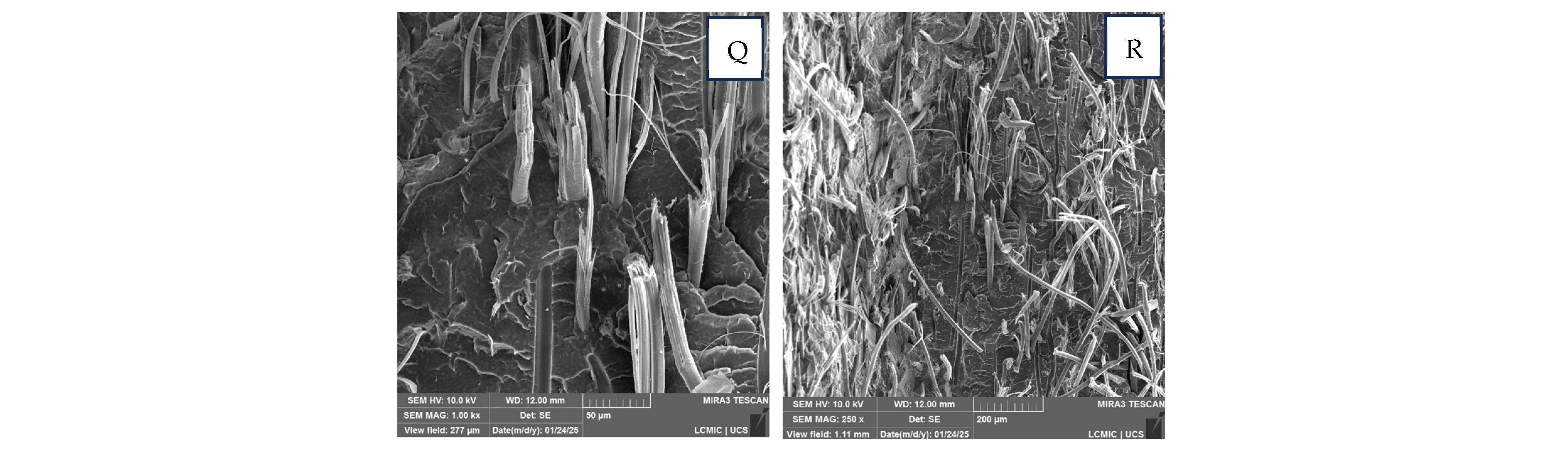 Polymers 17 00374 g006b