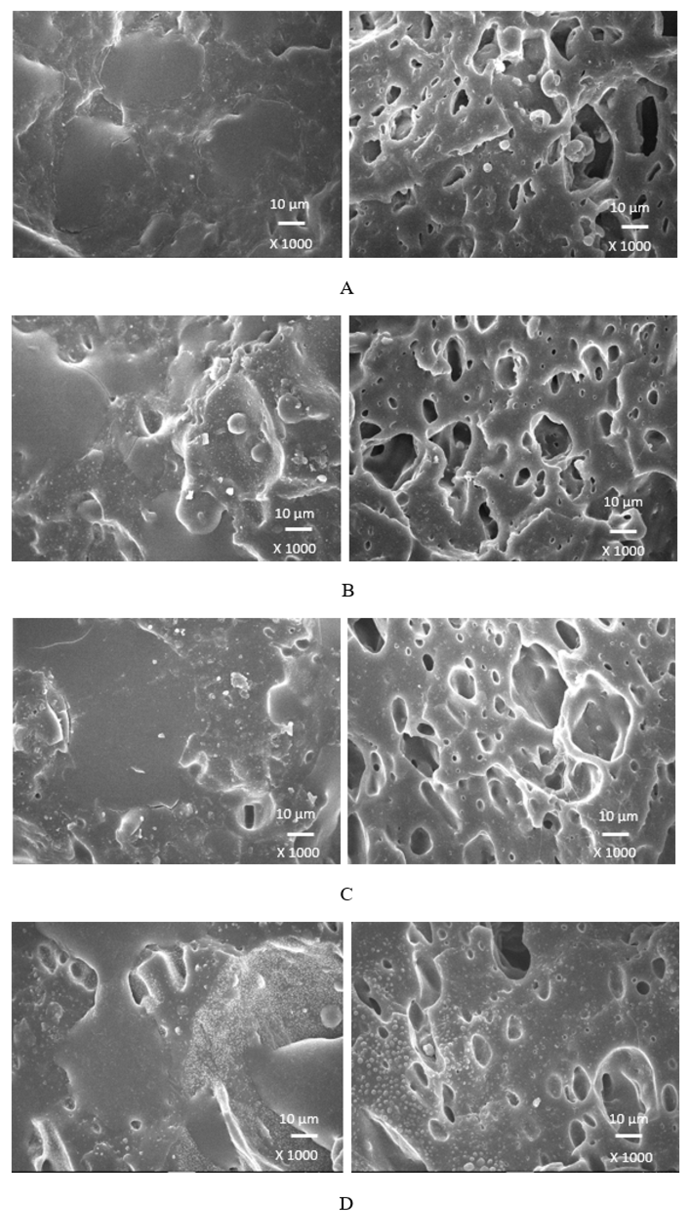 Polymers 17 00393 g012