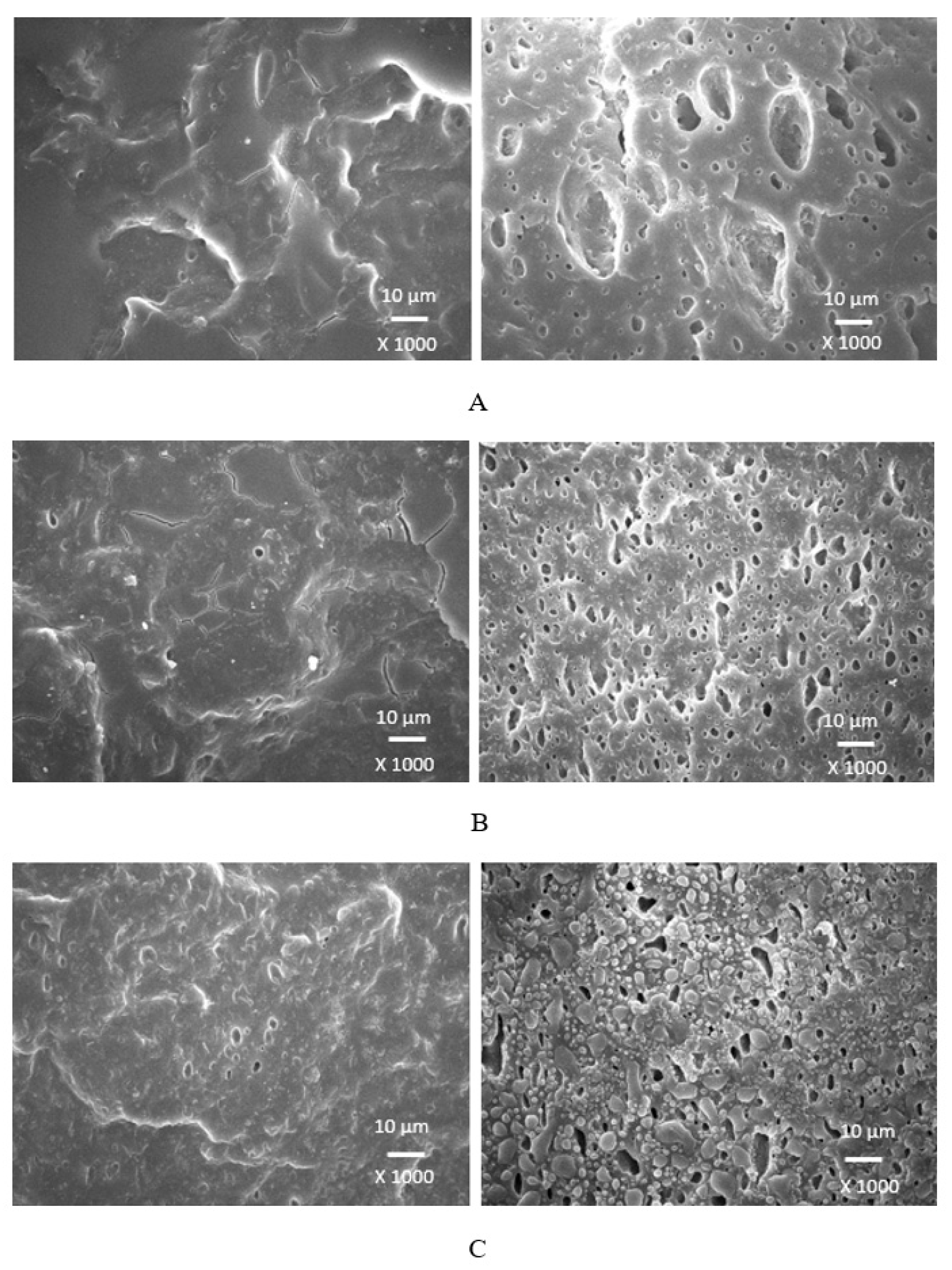 Polymers 17 00393 g013