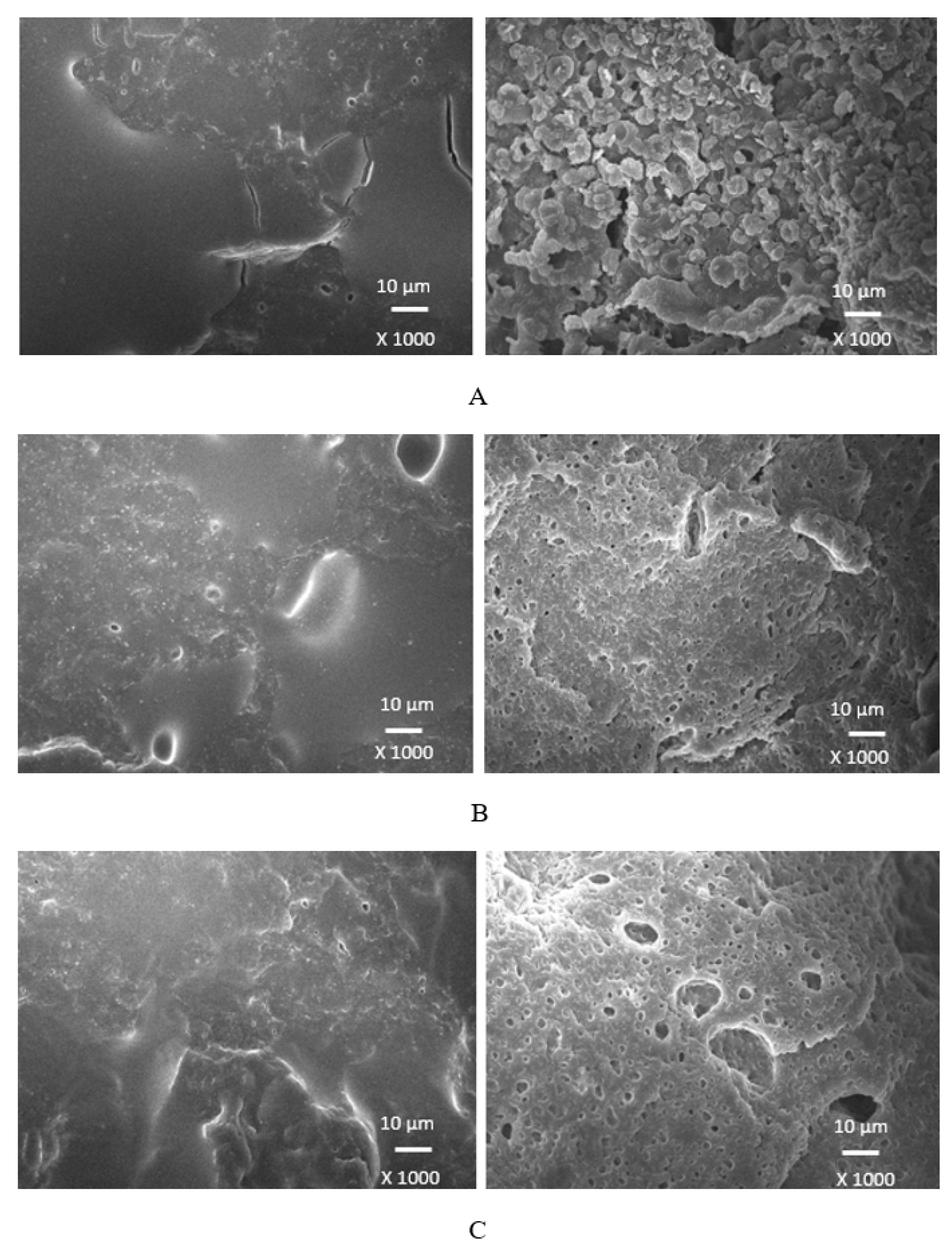 Polymers 17 00393 g015