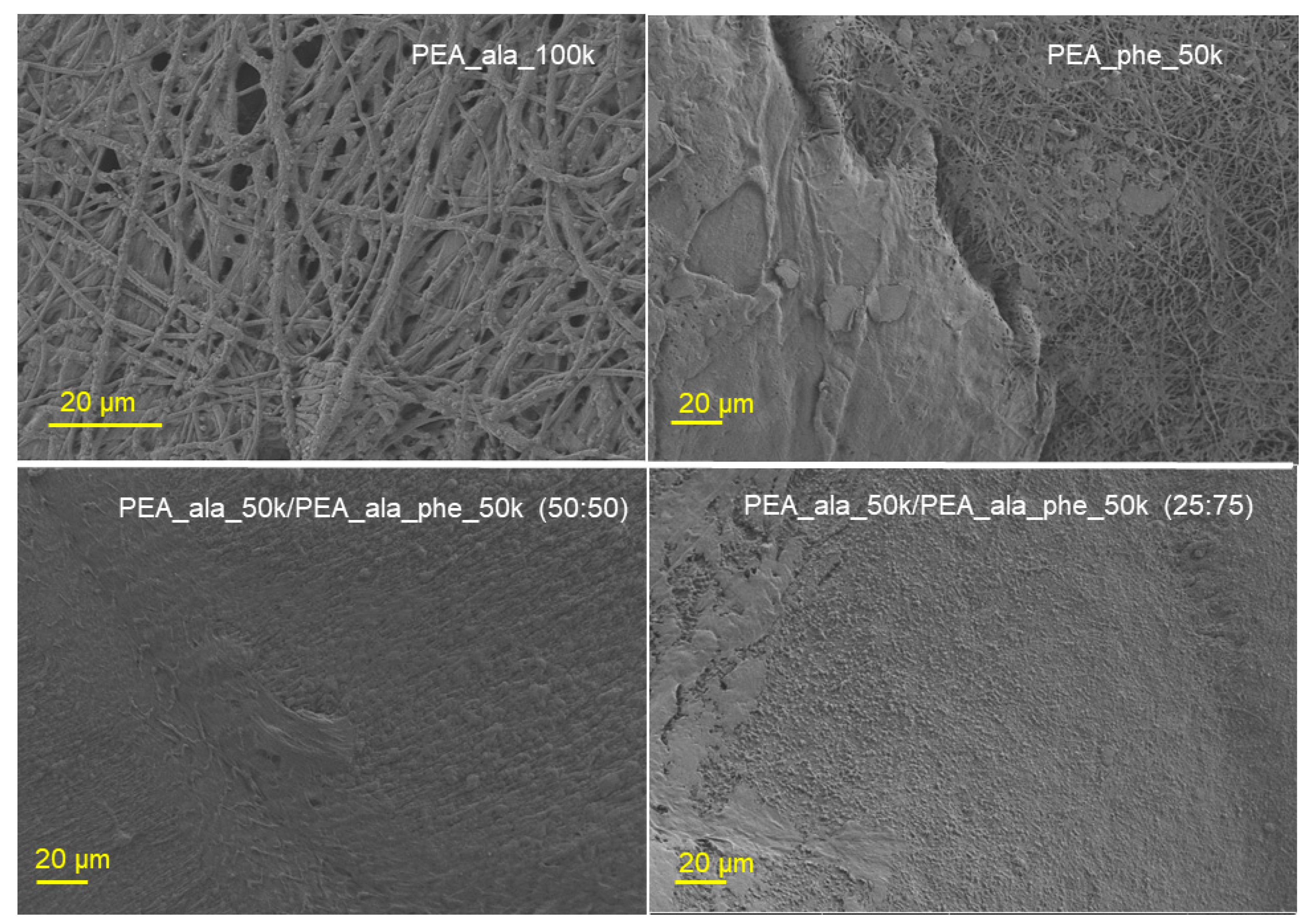 Polymers 17 00395 g012