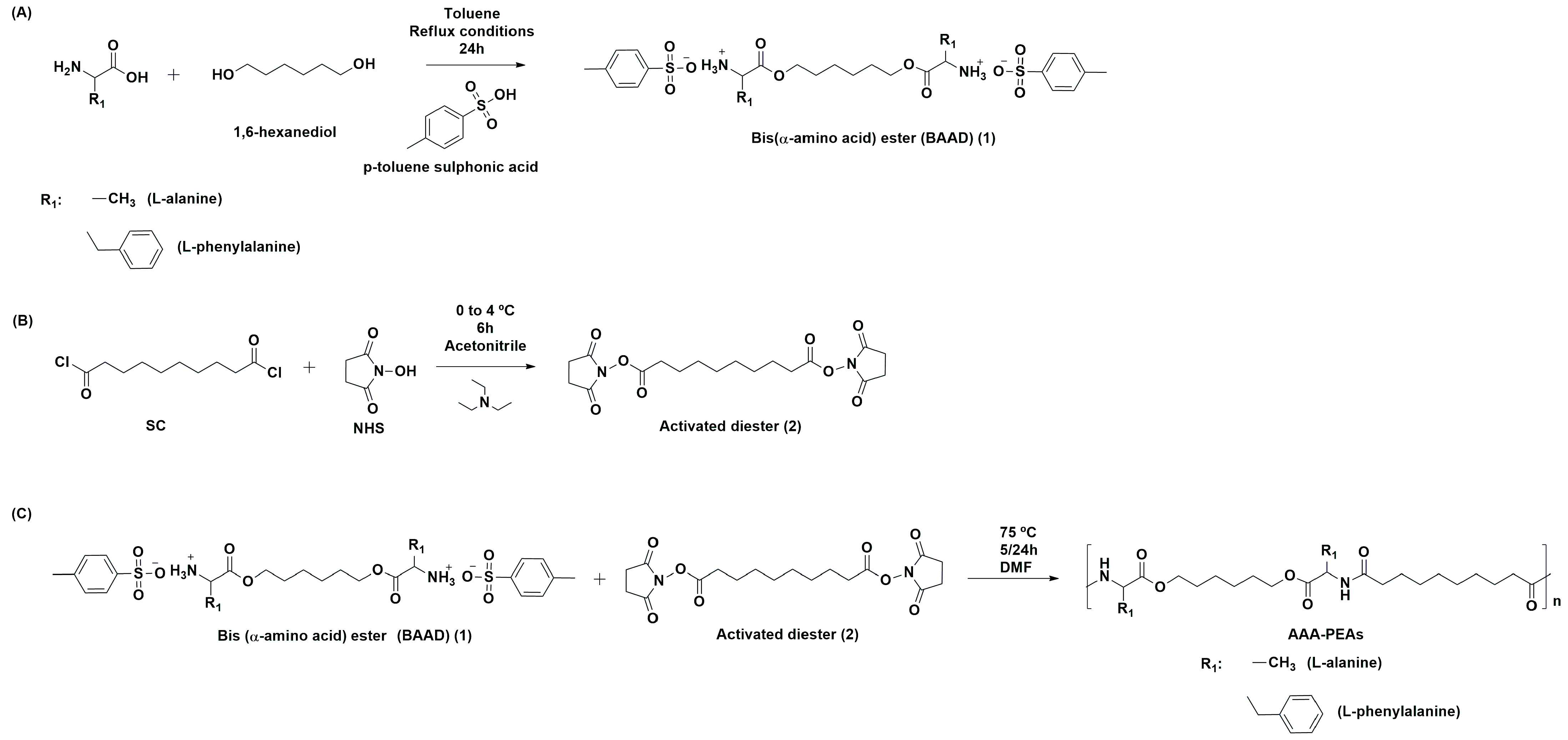 Polymers 17 00395 sch001