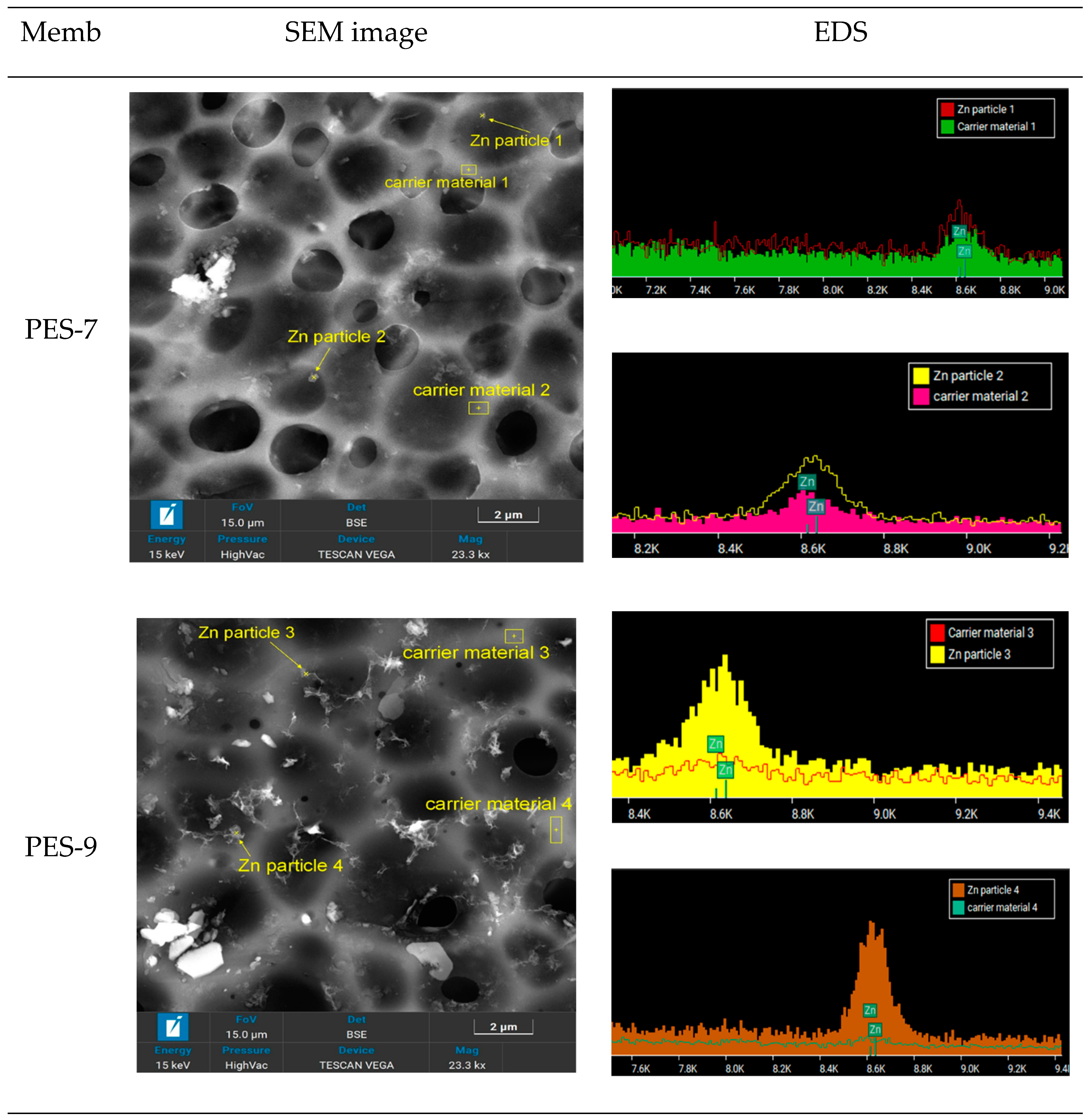 Polymers 17 00398 g005