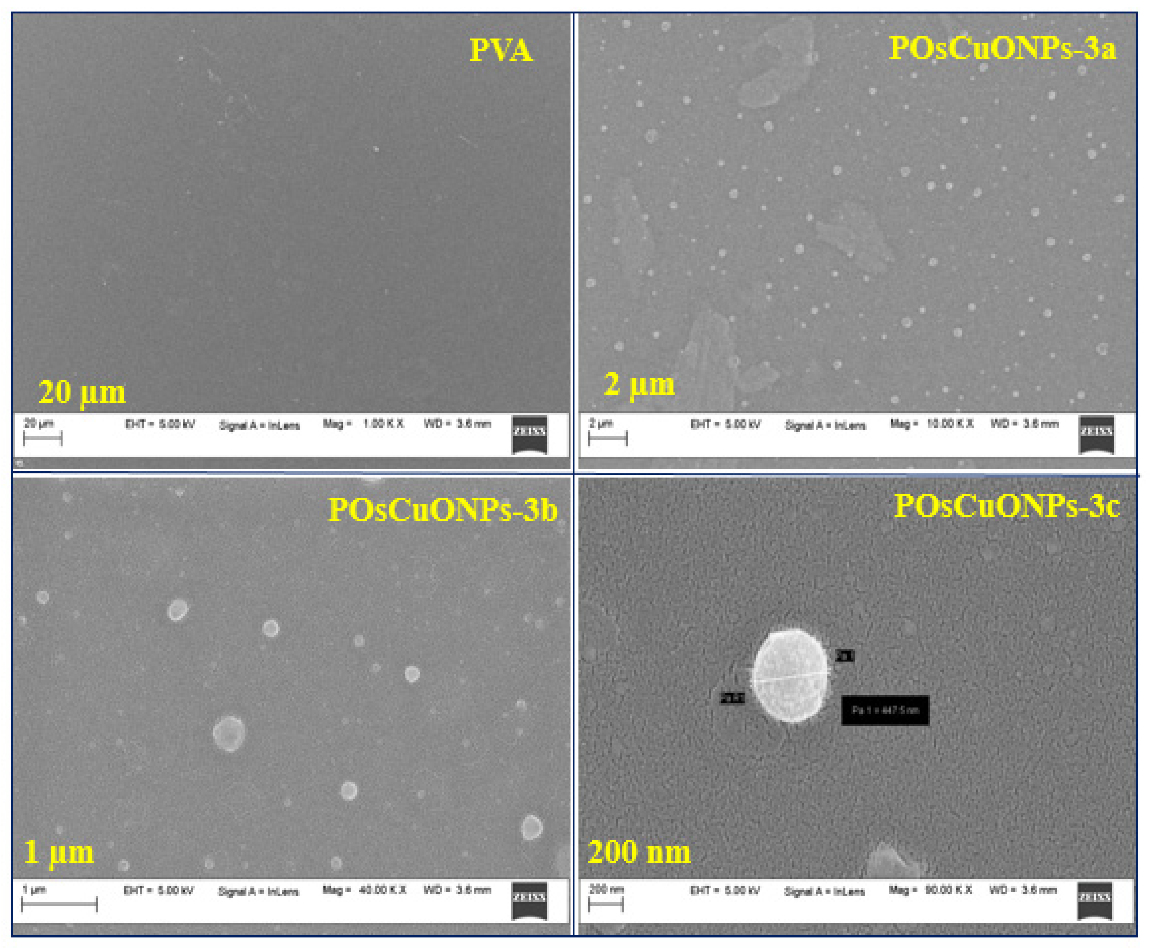 Polymers 17 00400 g004