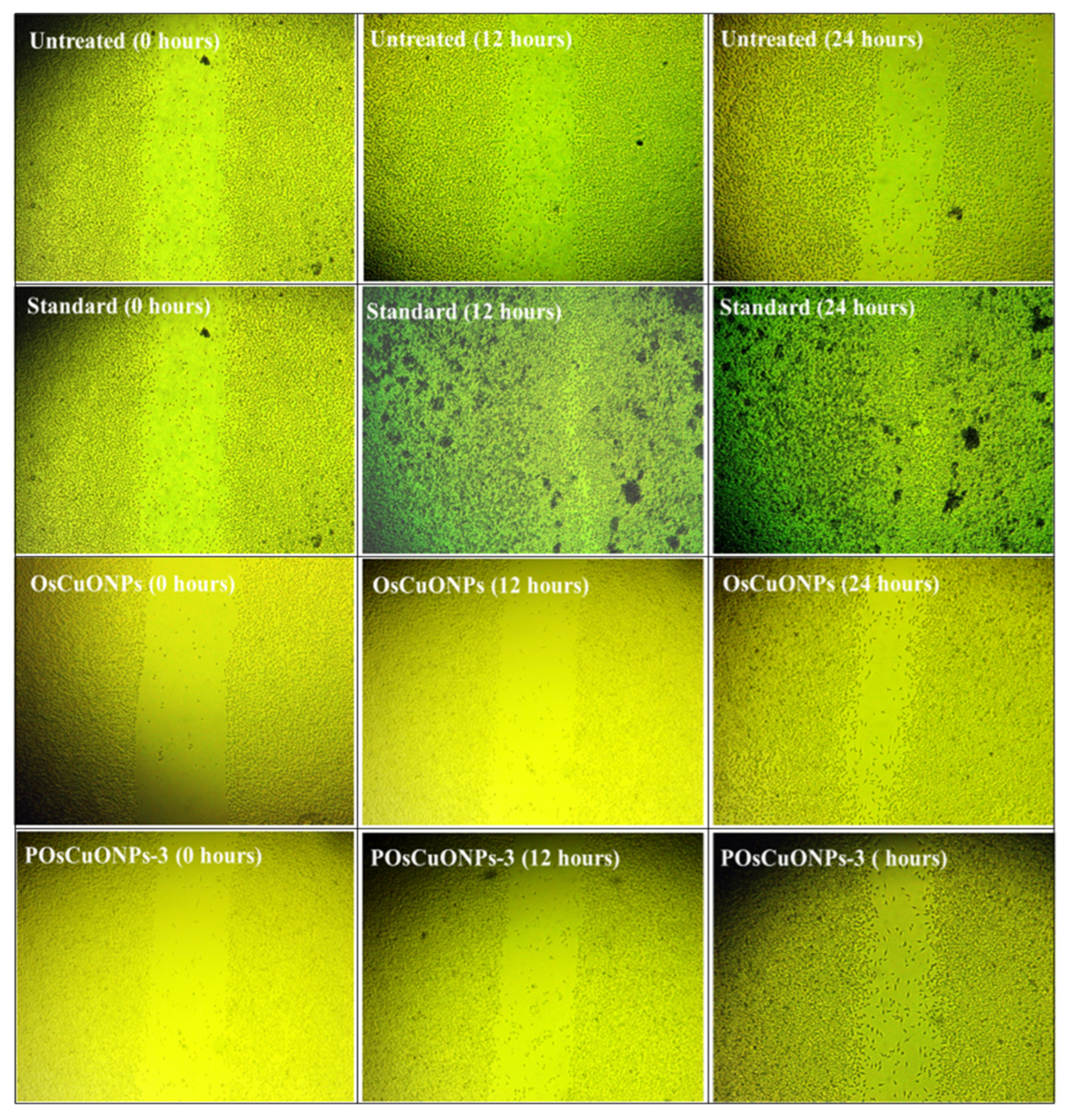 Polymers 17 00400 g010