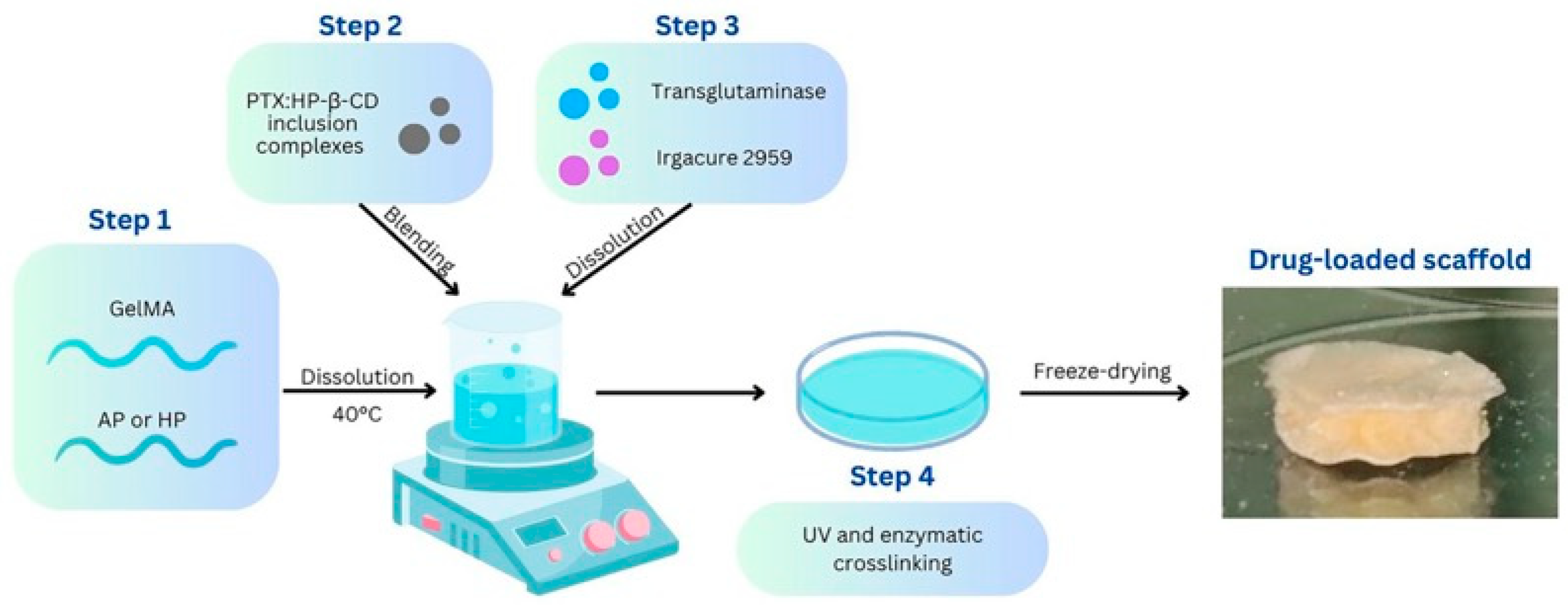 Polymers 17 00402 g001