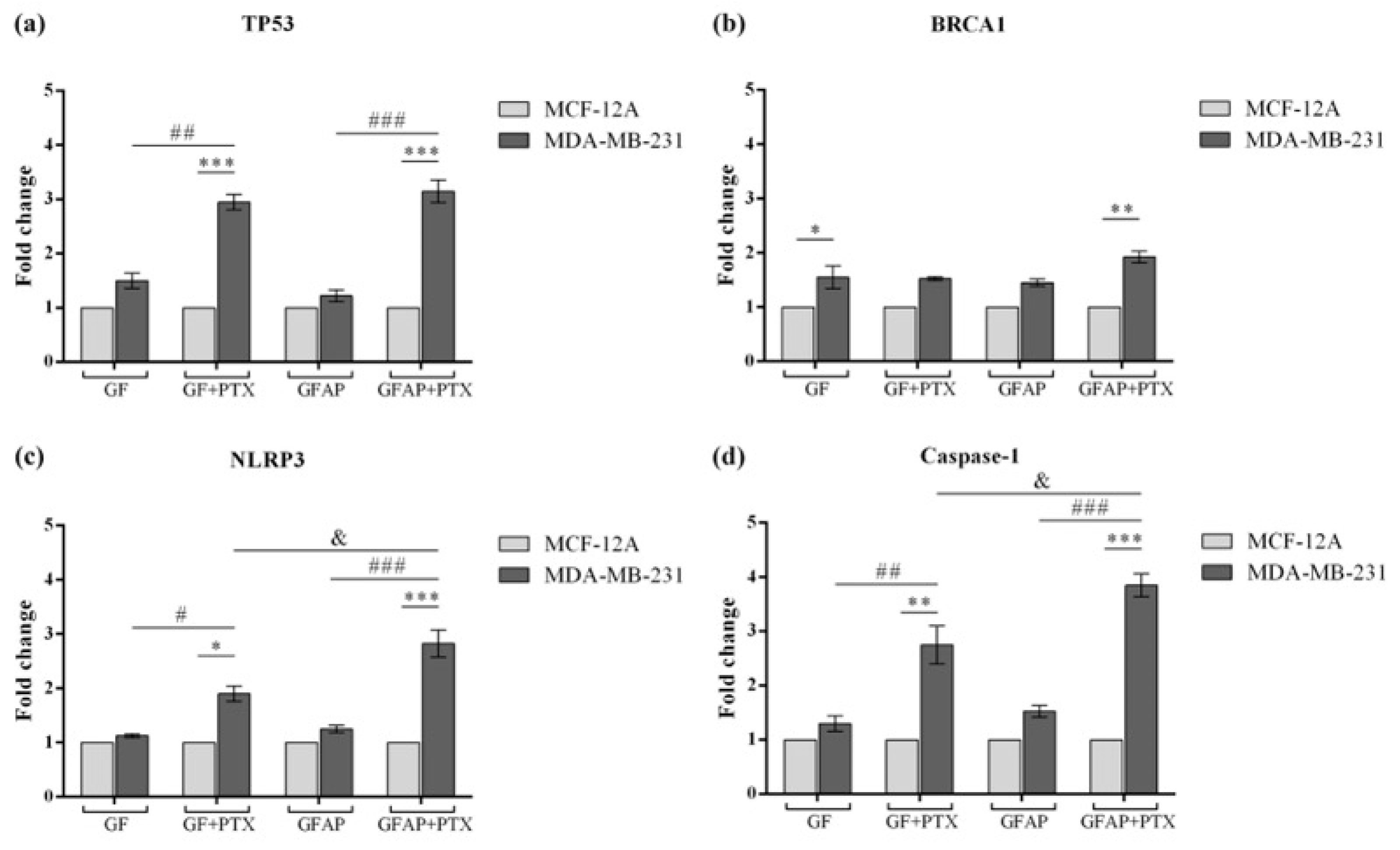 Polymers 17 00402 g007