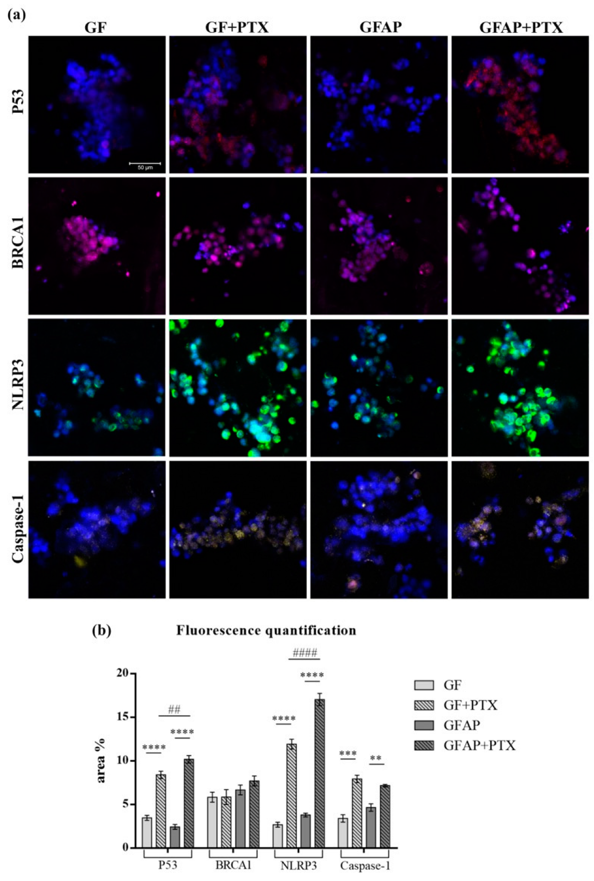 Polymers 17 00402 g008