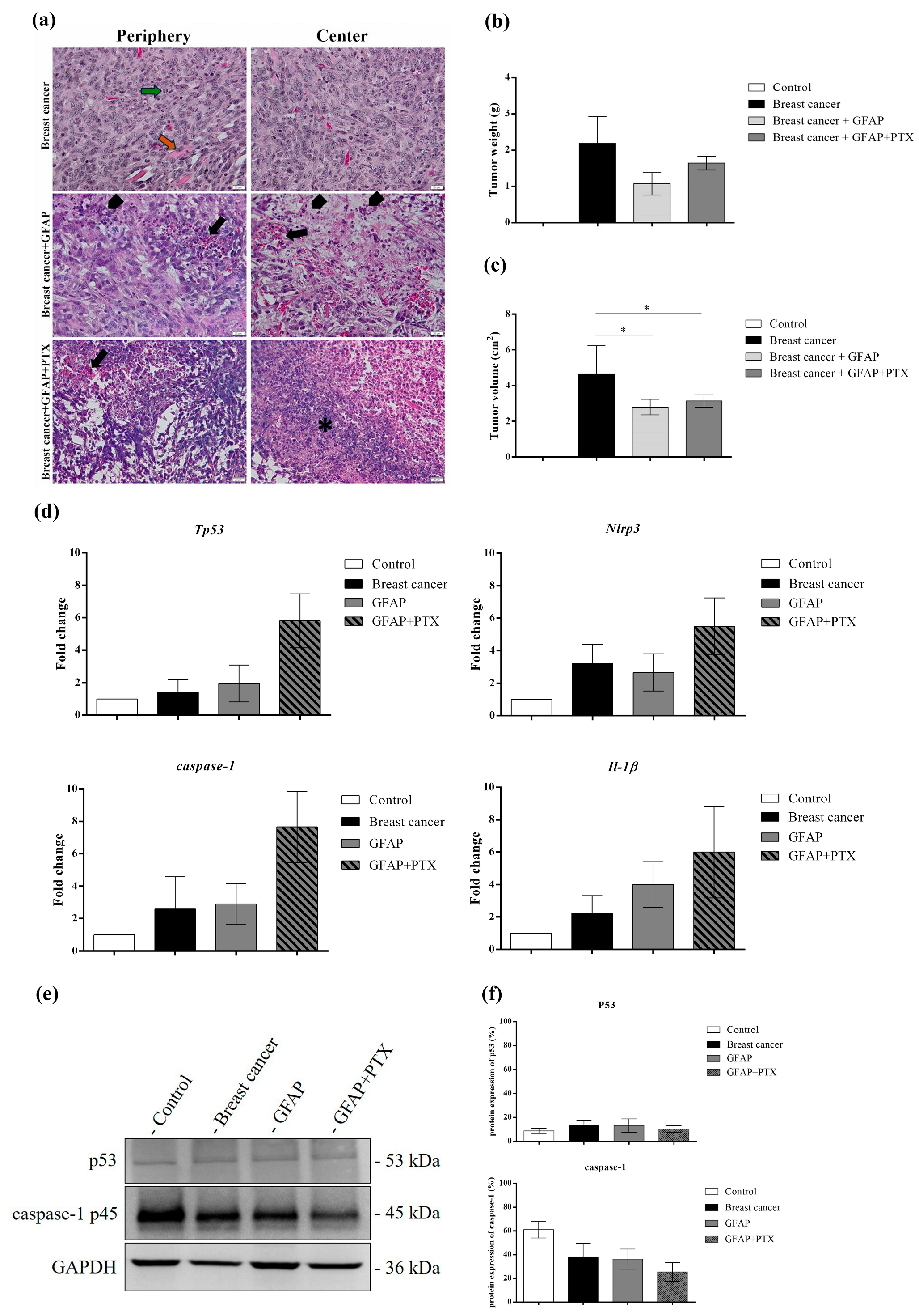 Polymers 17 00402 g009