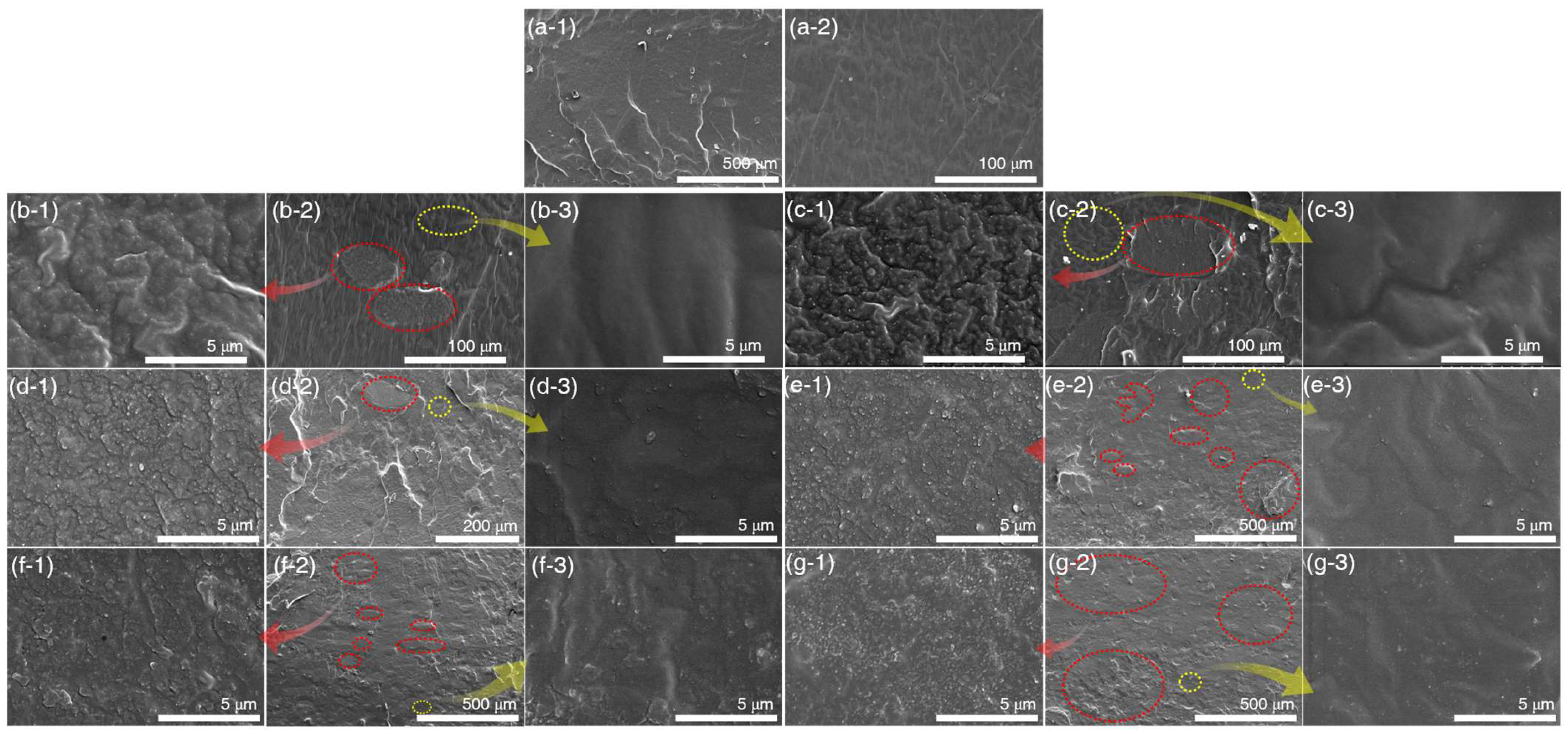 Polymers 17 00406 g007