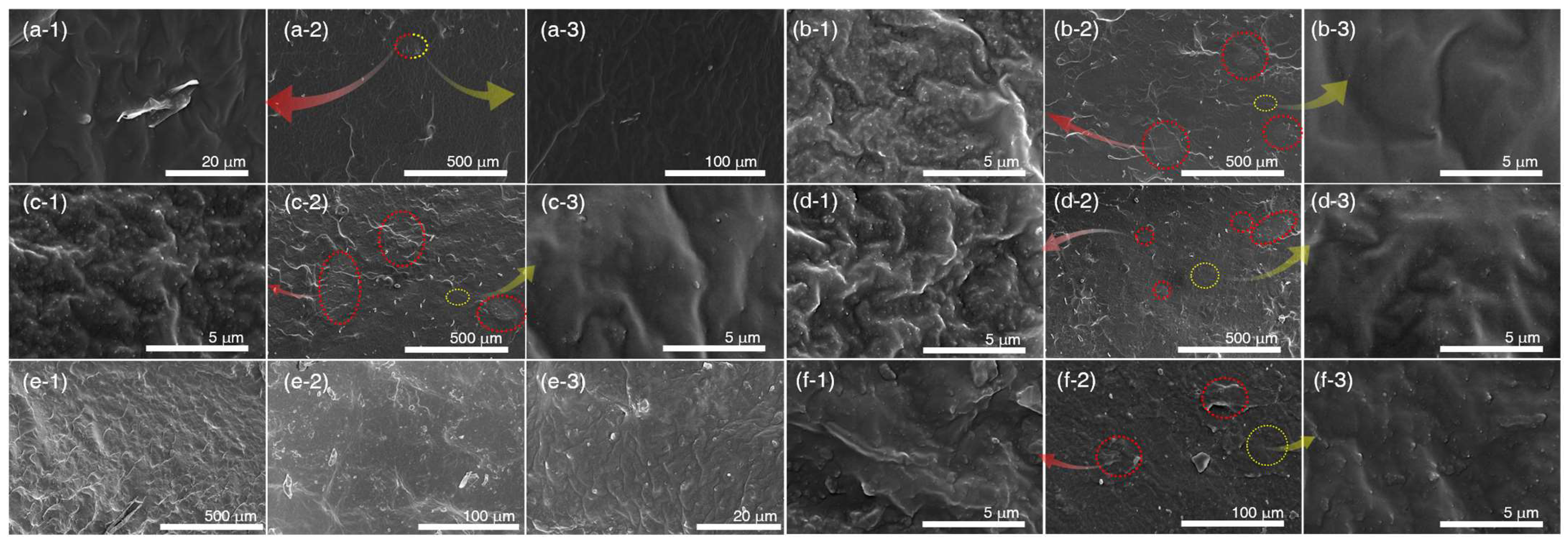 Polymers 17 00406 g008