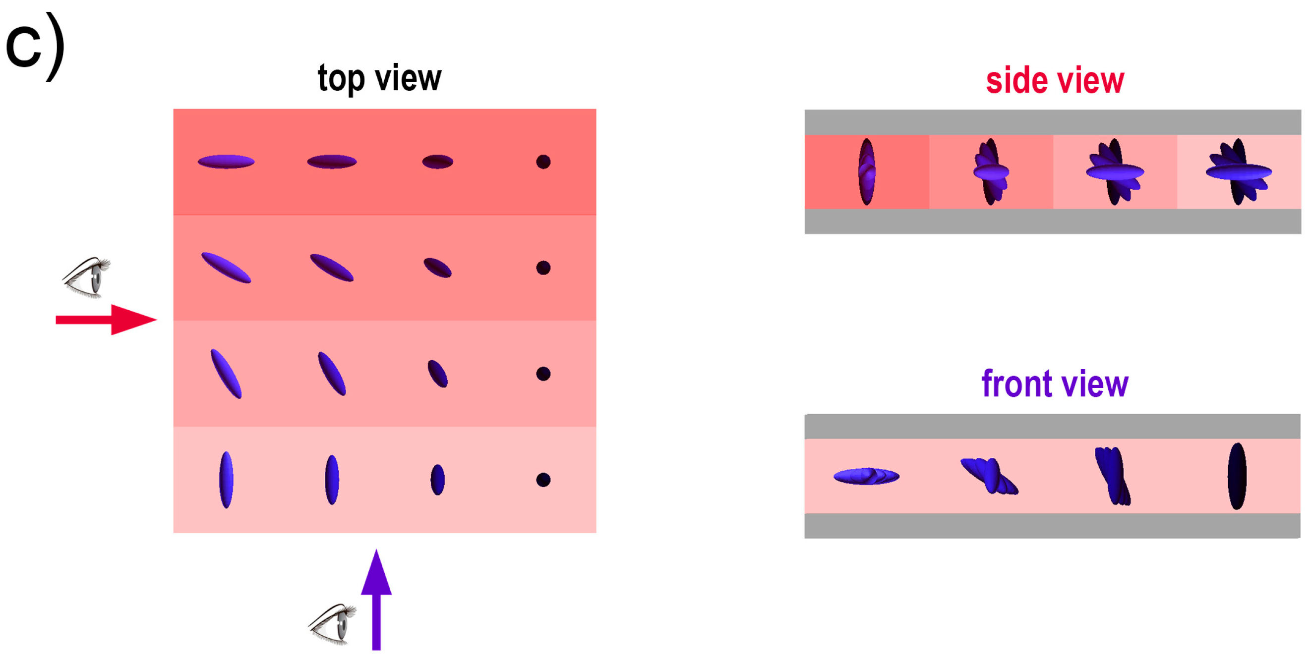 Polymers 17 00418 g002b