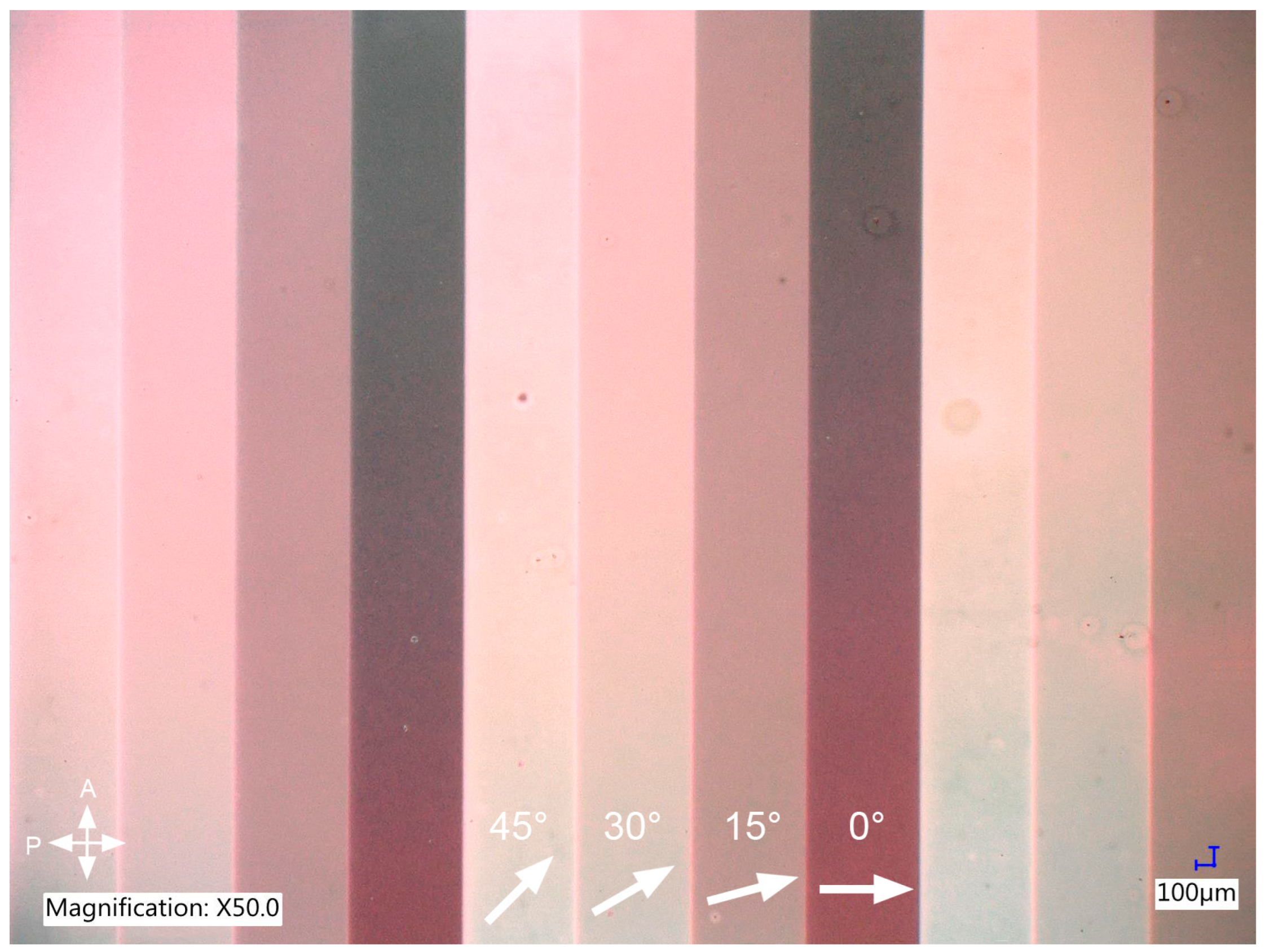 Polymers 17 00418 g003