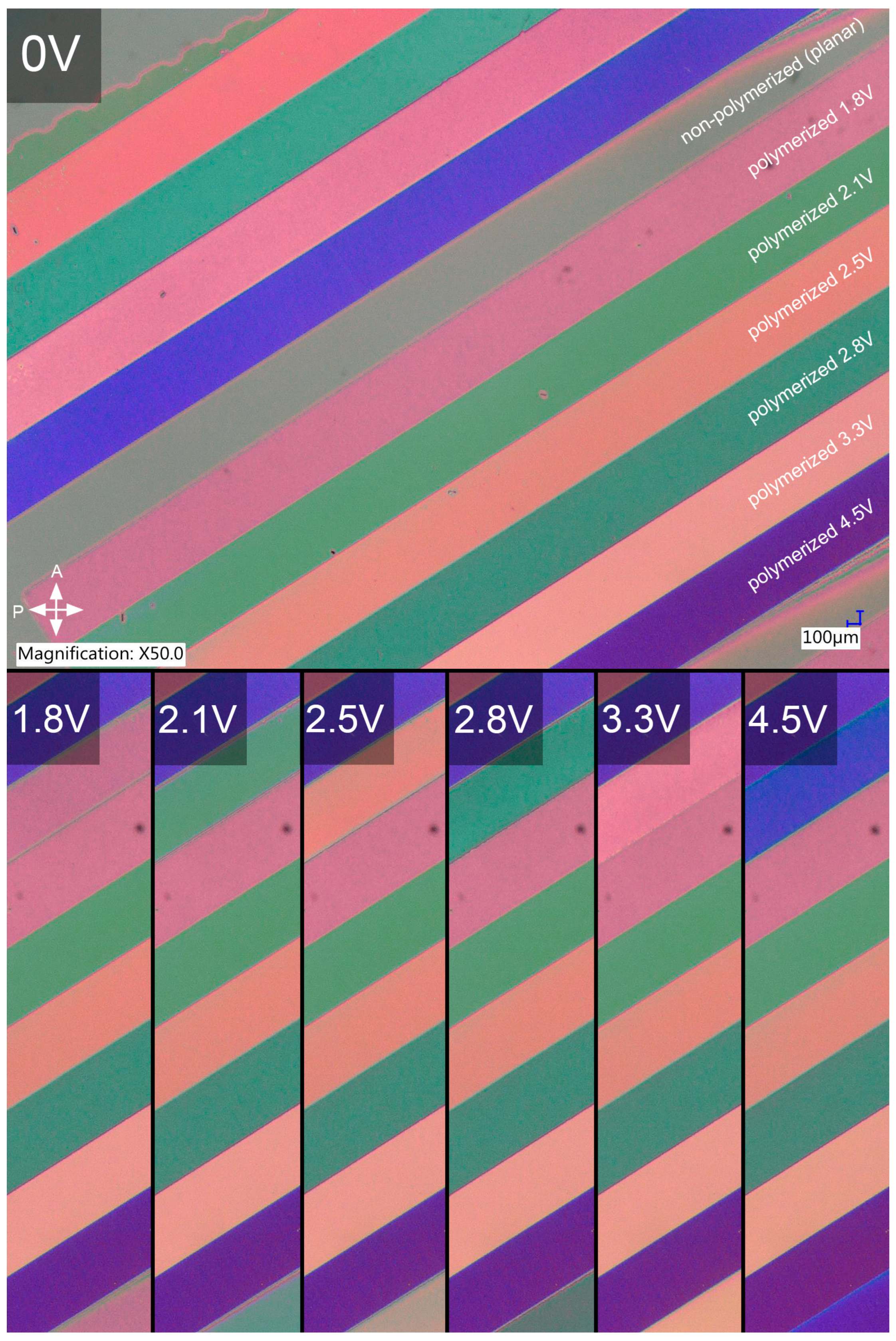 Polymers 17 00418 g004