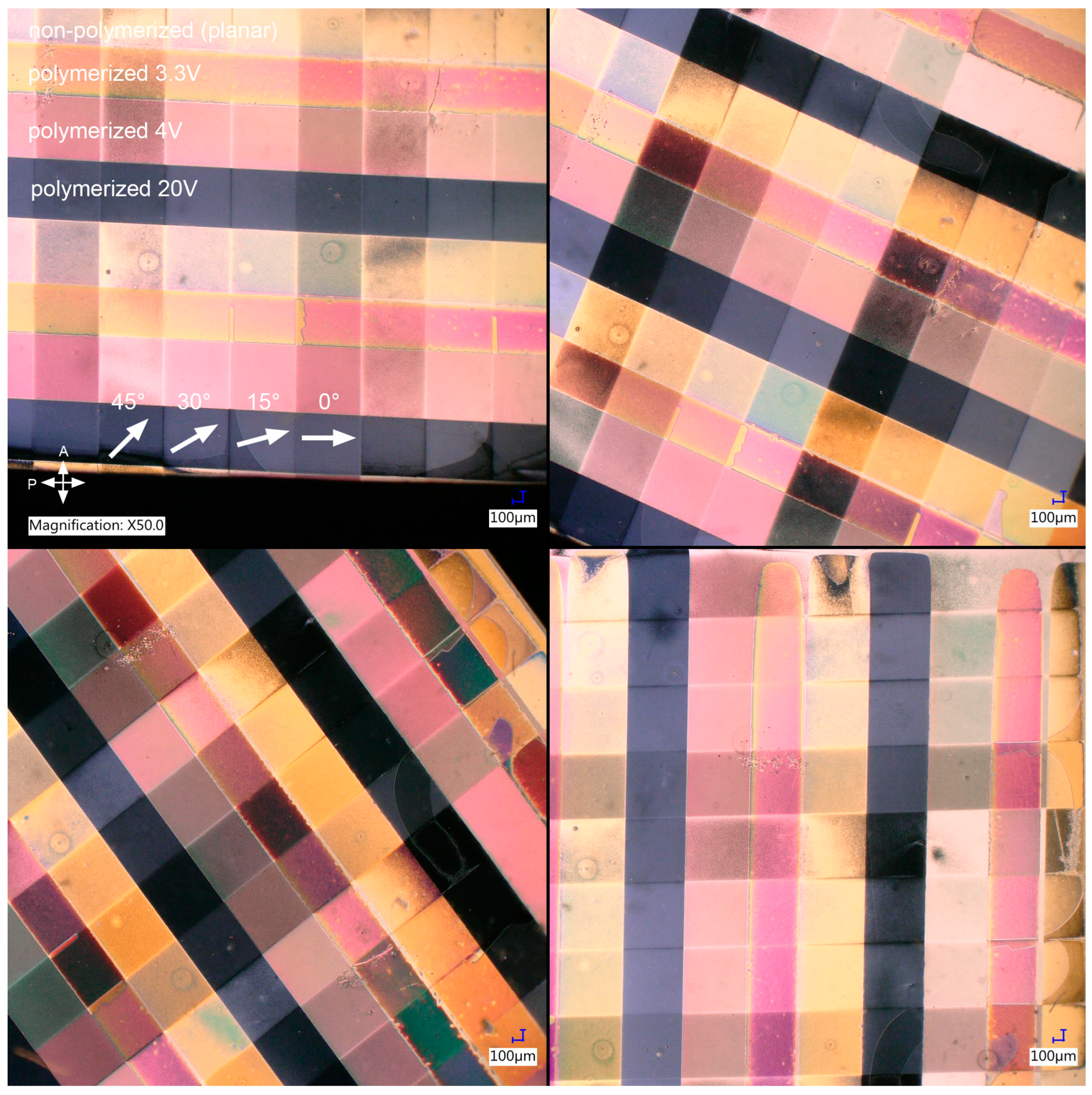 Polymers 17 00418 g006