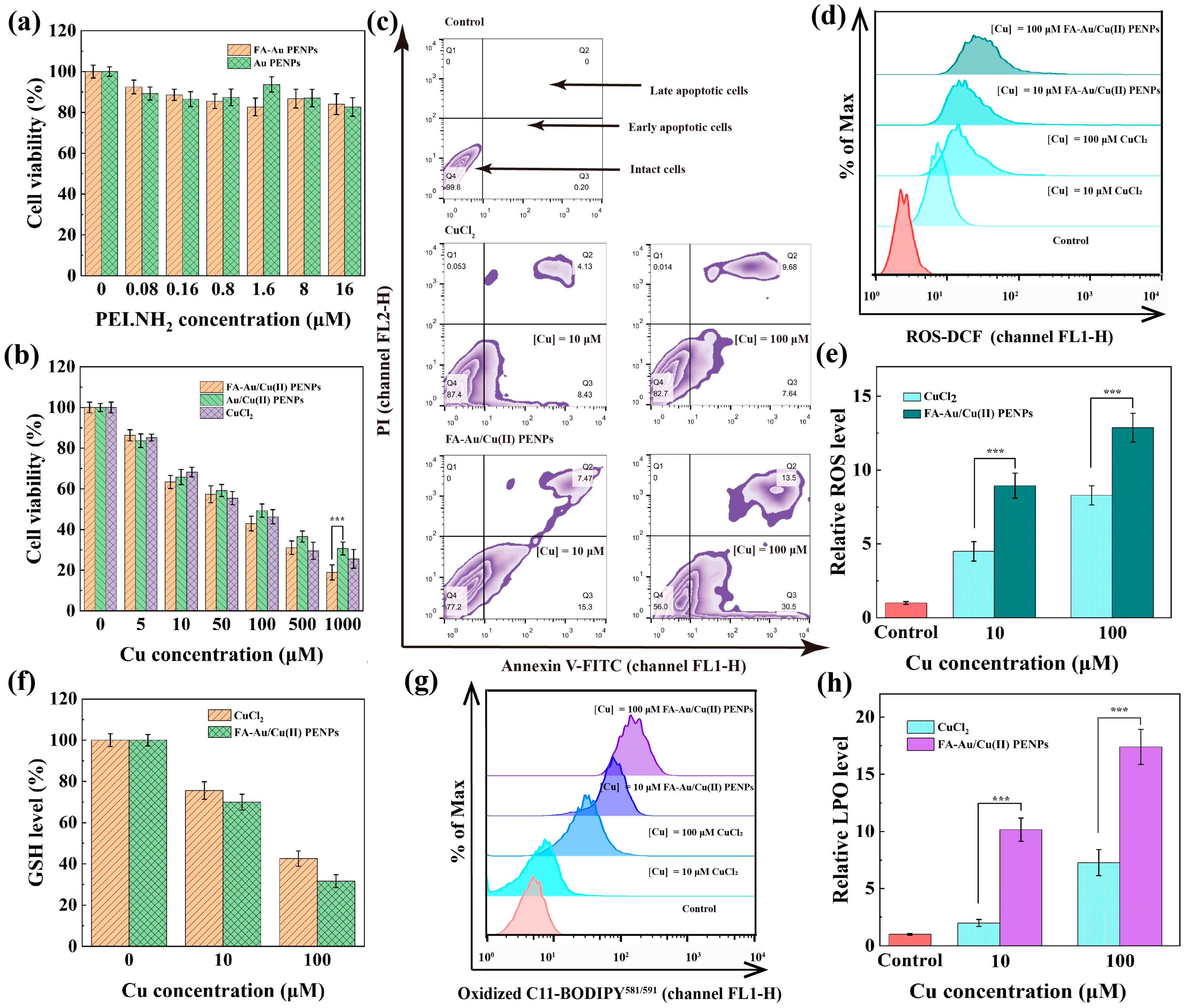 Polymers 17 00423 g004
