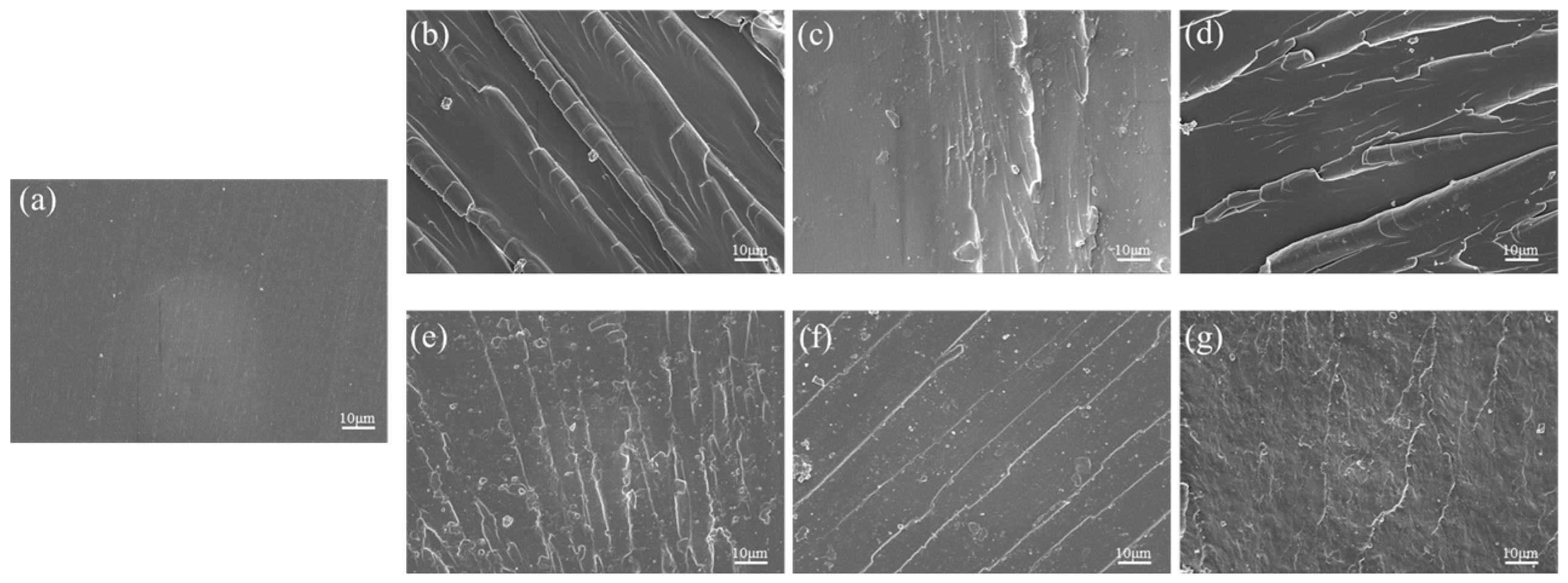 Polymers 17 00433 g015