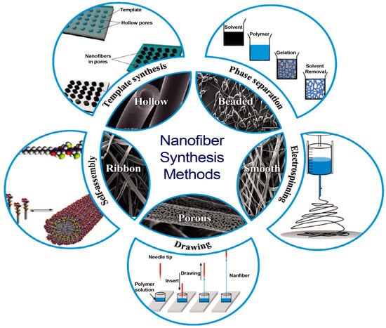 Polymers 17 00435 g002