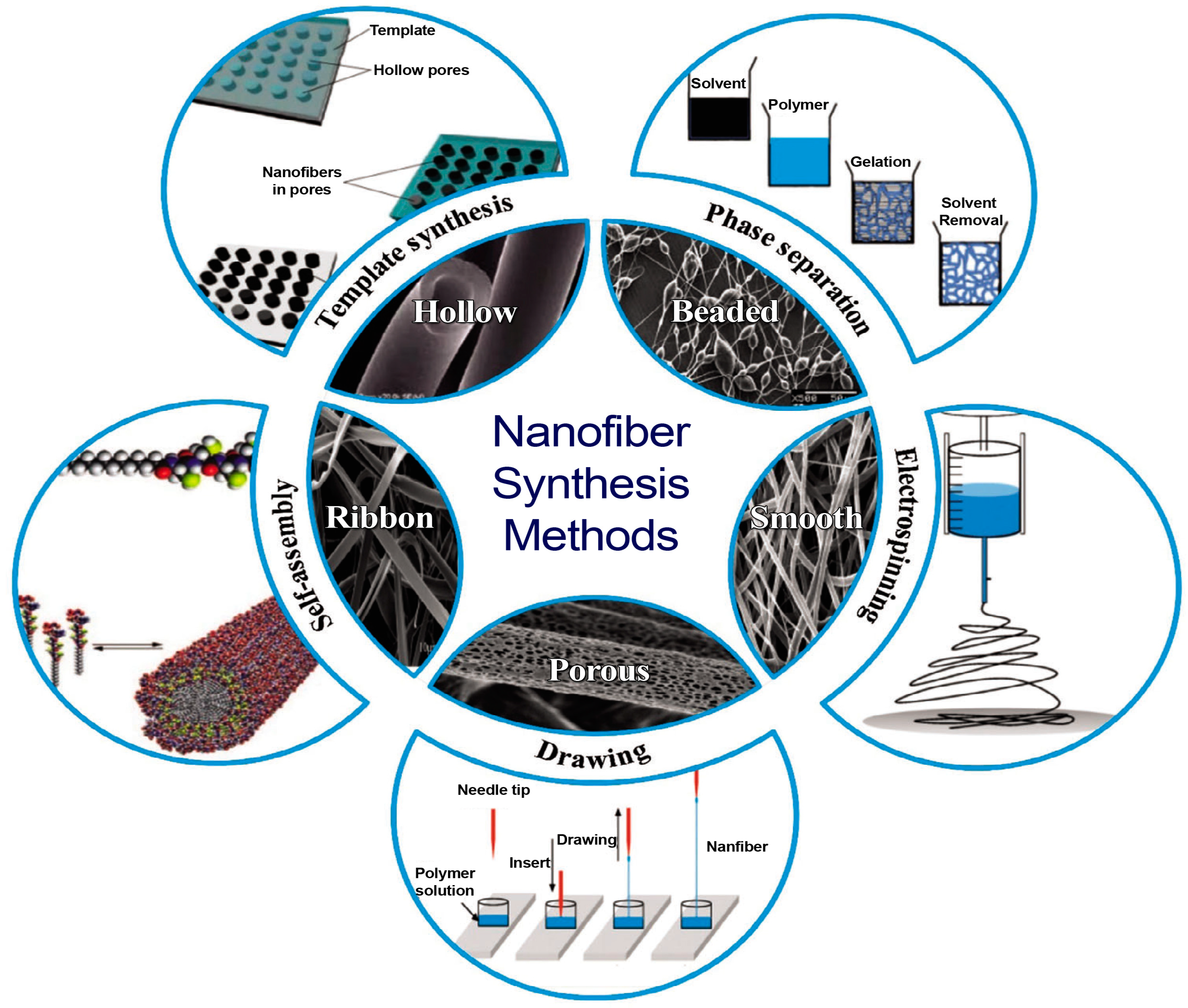 Polymers 17 00435 g002 Polymers 17 00435 g002
